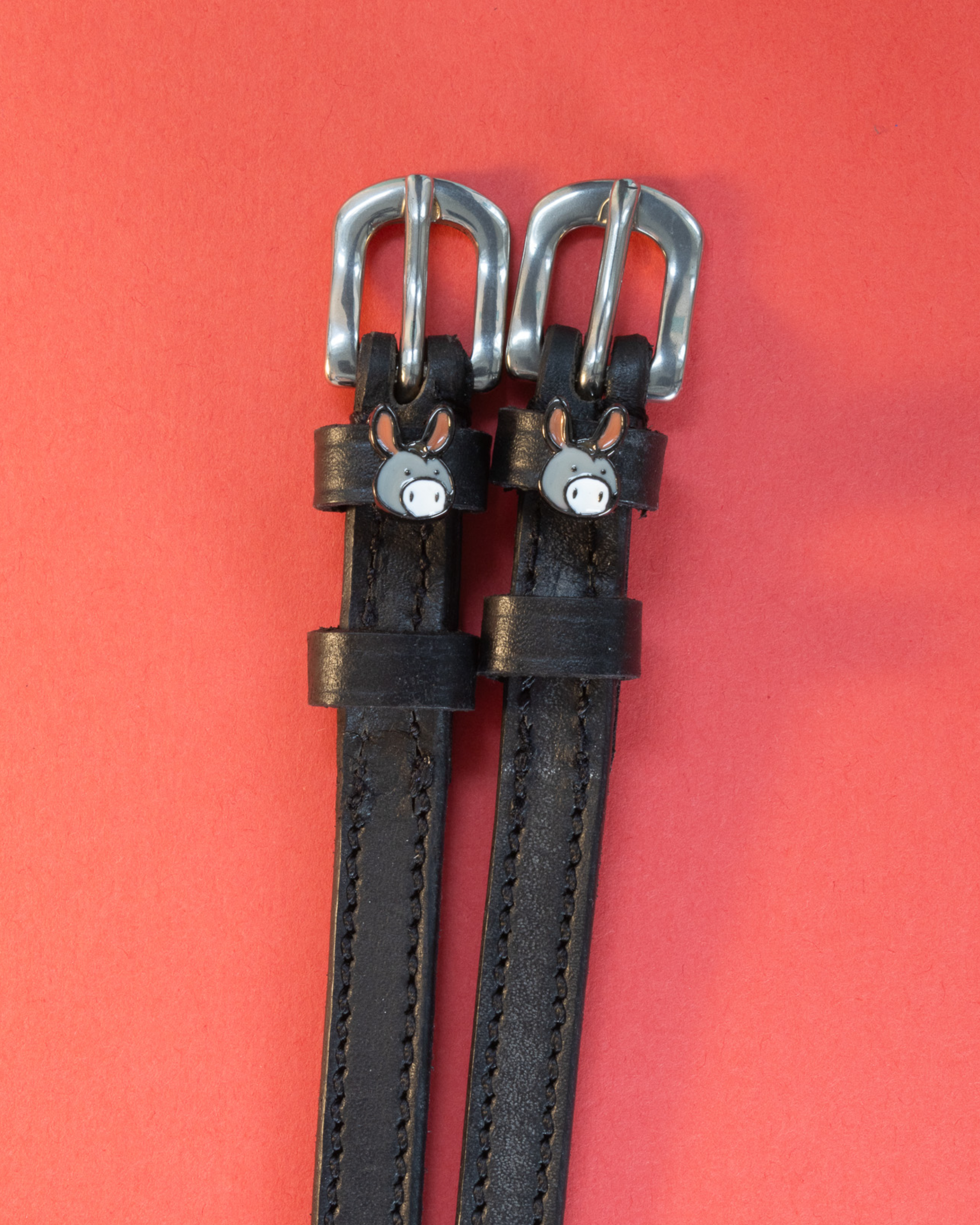 Black leather donkey spur straps with silver buckles on a coral red background