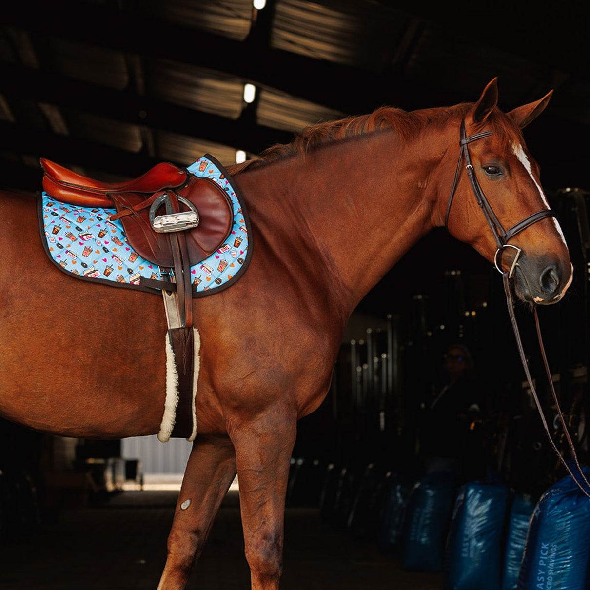 Chestnut horse wearing a blue donut-themed saddle pad and brown saddle in stable