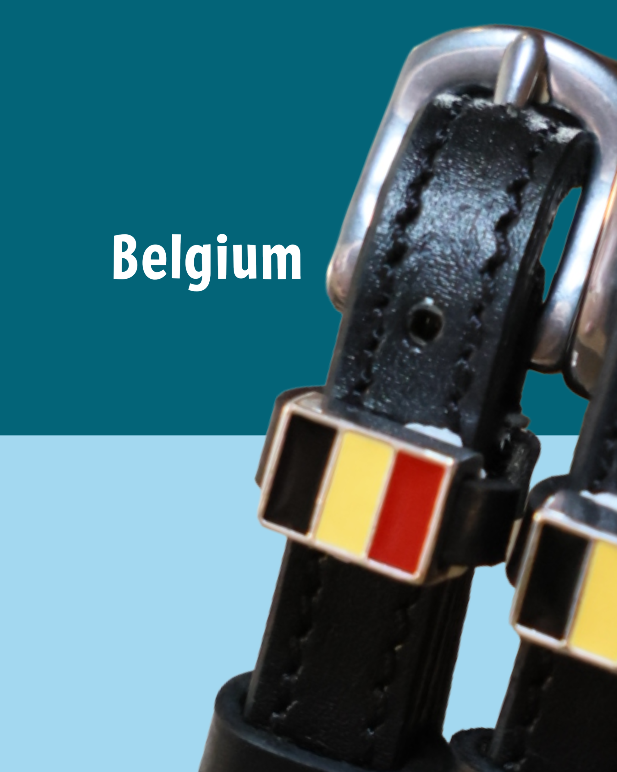 Black leather spur straps with stainless steel buckle and custom charm