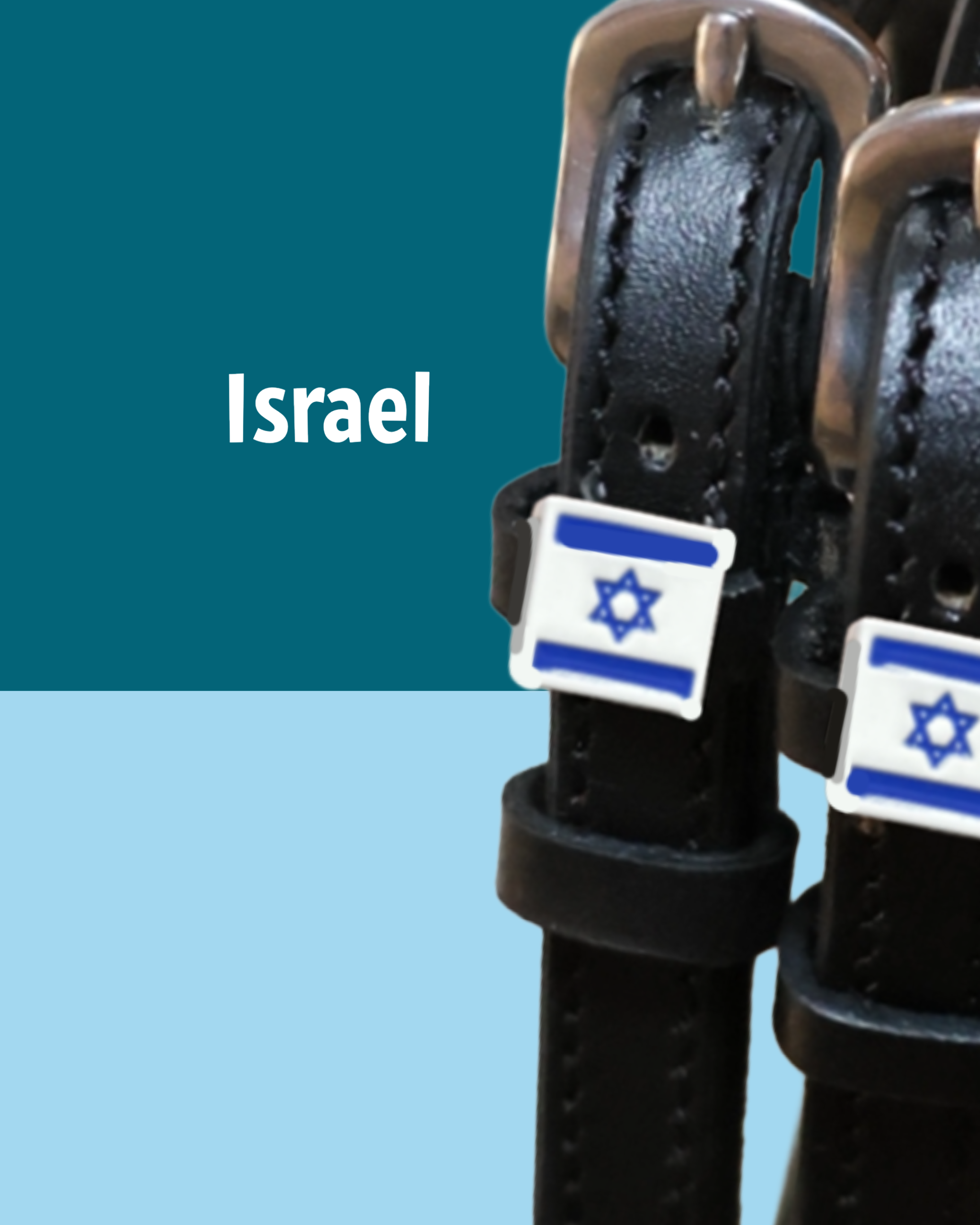 Black leather Israel flag spur straps with stainless steel buckle and custom charm
