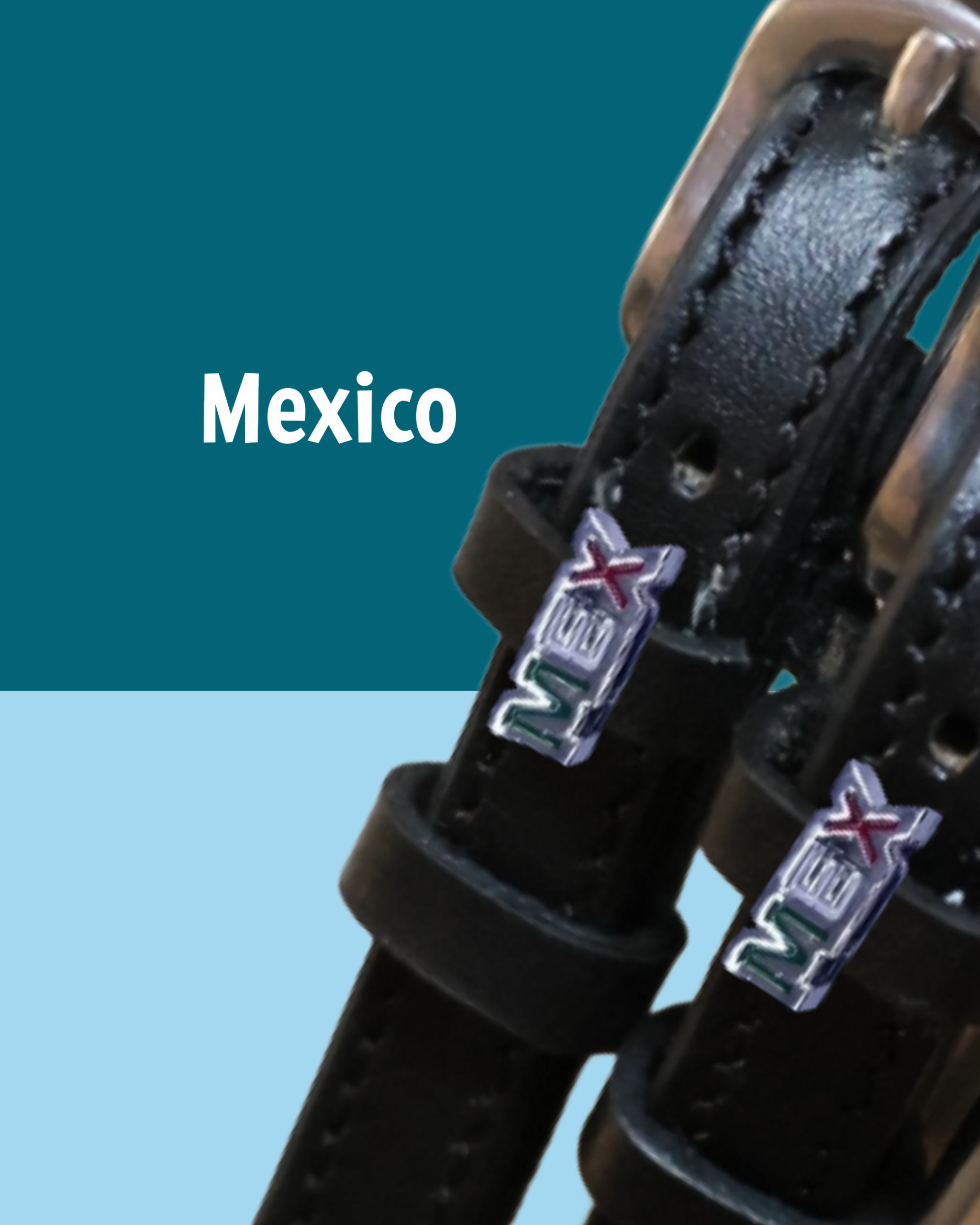 Black leather Spur Straps with stainless steel buckle and custom charm by ManeJane