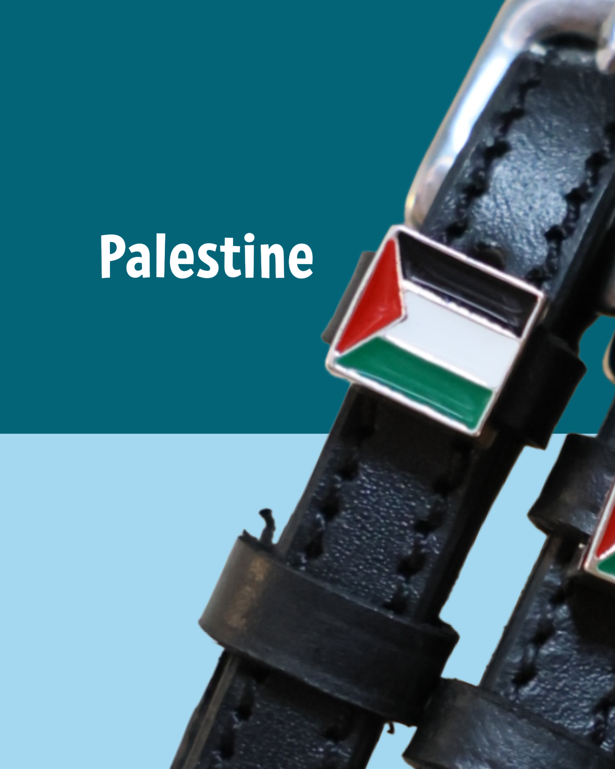 Black leather spur straps with stainless steel buckle and custom charm