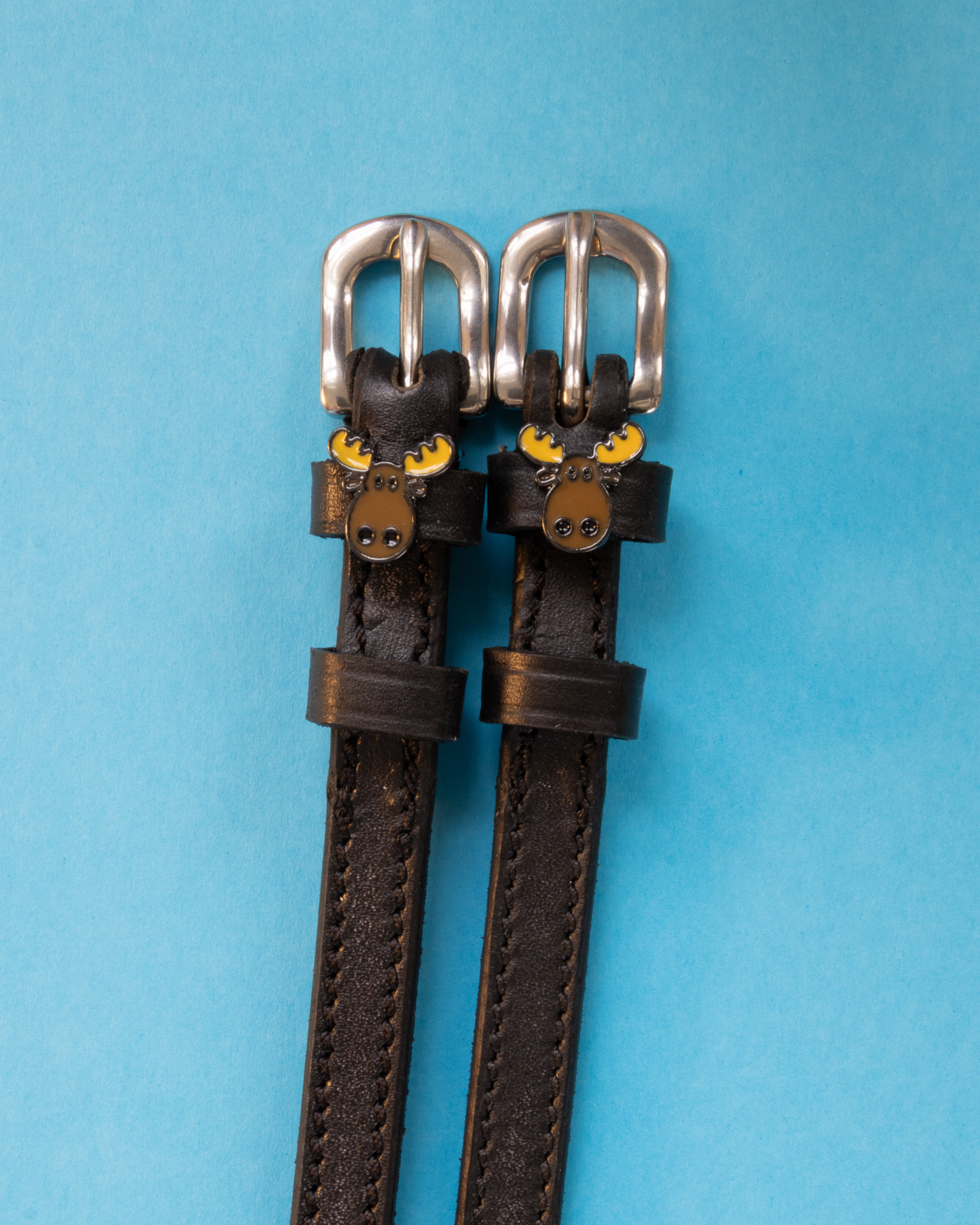 Dark brown leather moose head spur straps with silver buckles on light blue