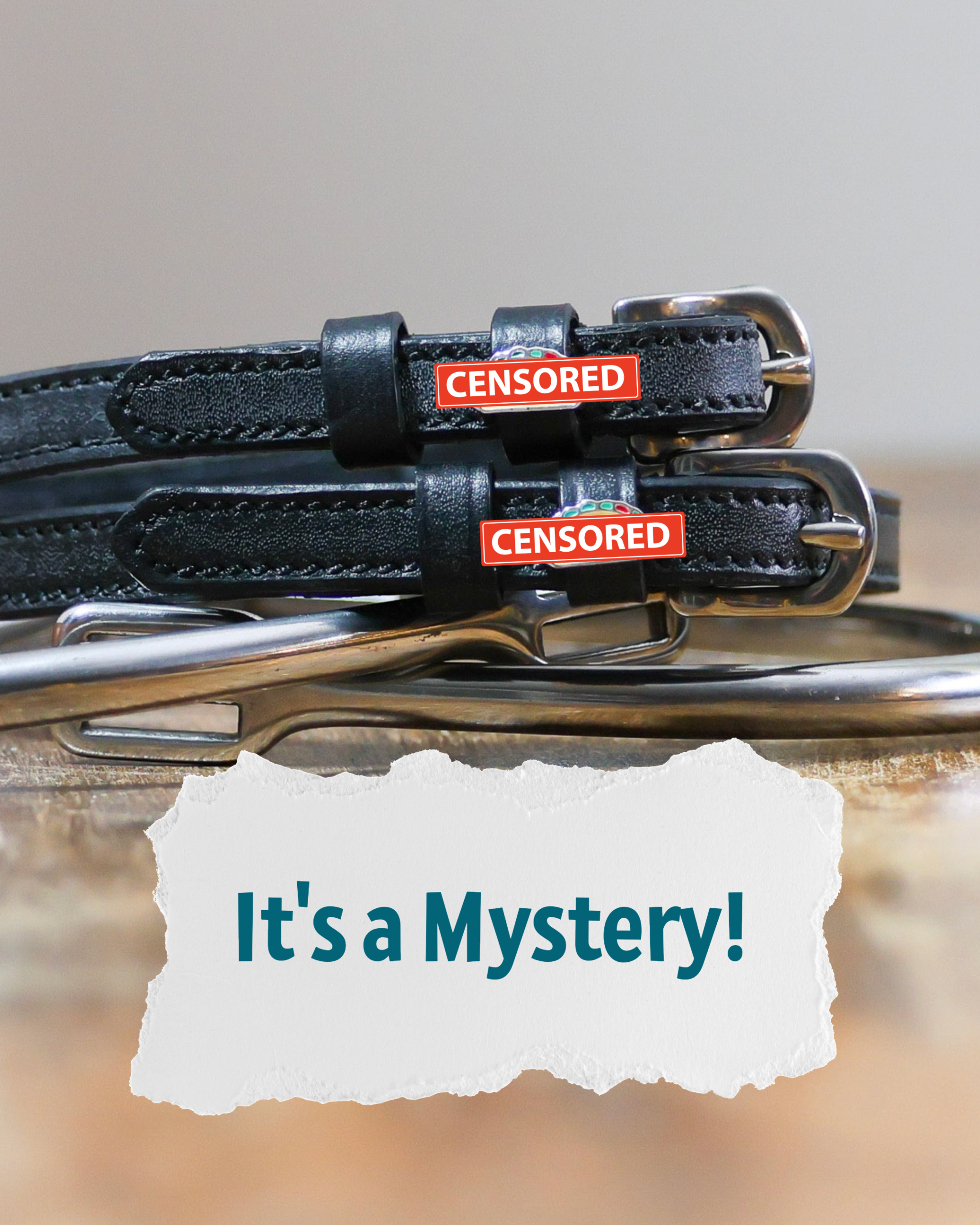 Mystery patterned spur straps, equestrian accessory by Dreamers & Schemers