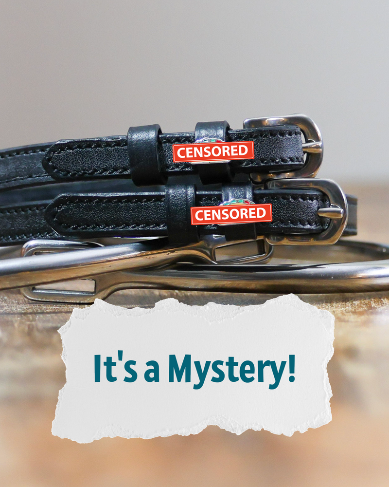 Mystery patterned spur straps, equestrian accessory by Dreamers & Schemers
