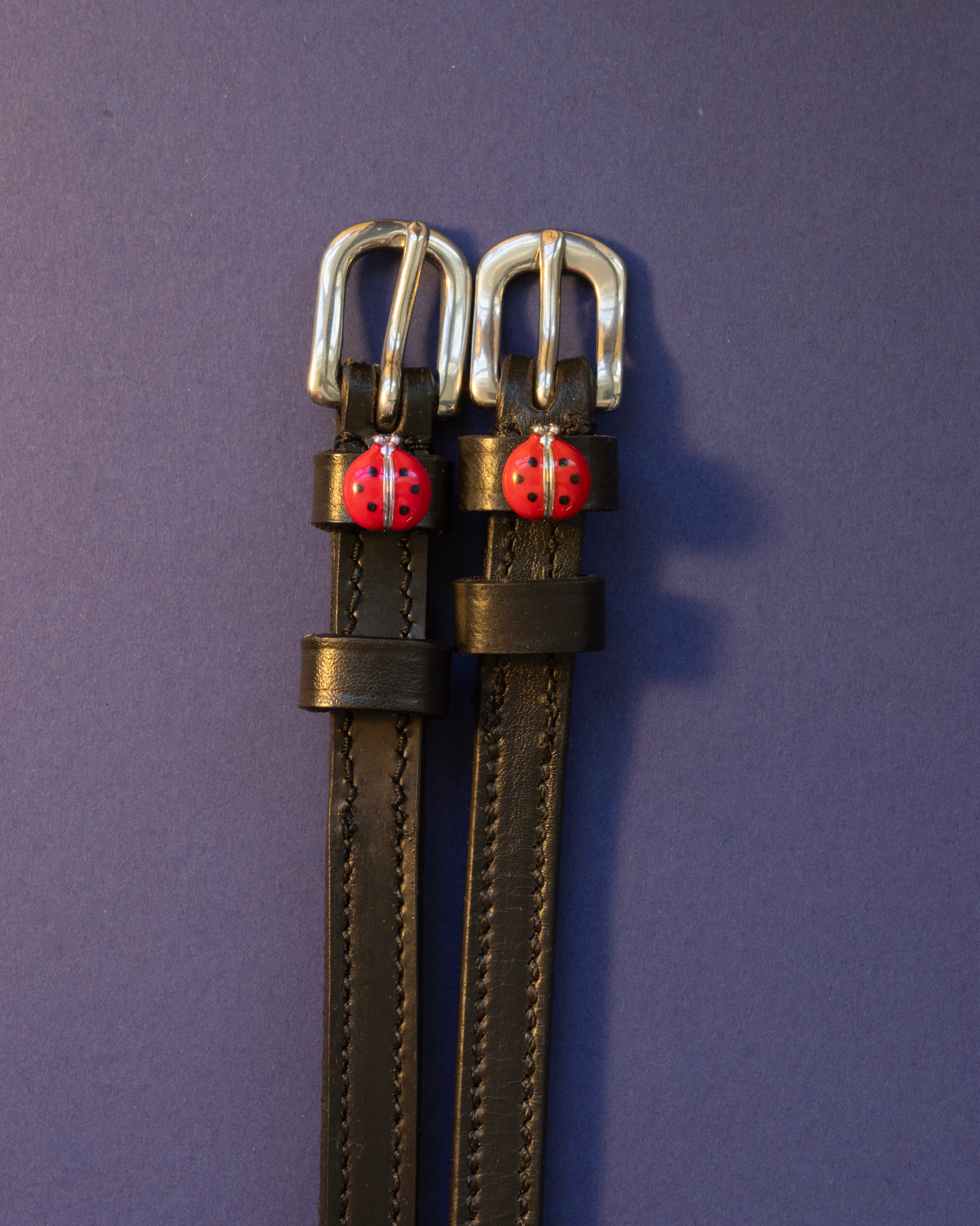 Red ladybug ManeJane spur straps laid flat on a navy background