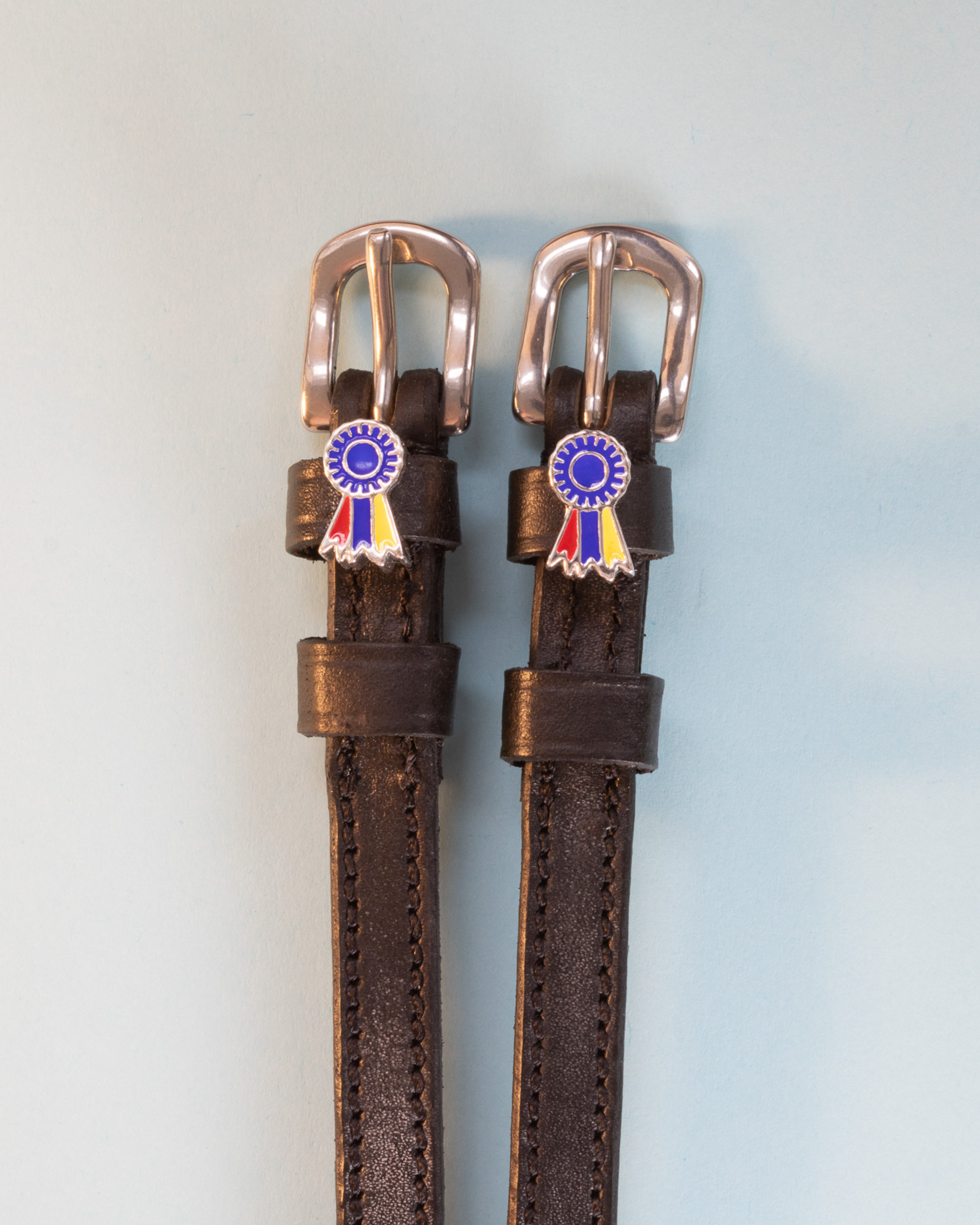 Dark brown leather rosette ribbon spur straps with rose gold buckles on pale blue