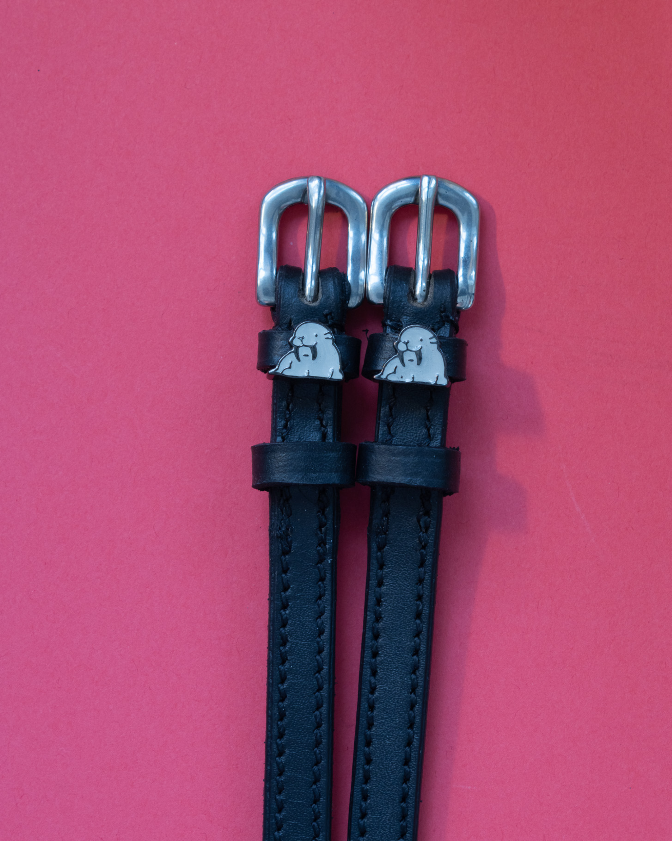 Black leather walrus spur straps with silver buckles on a coral red background