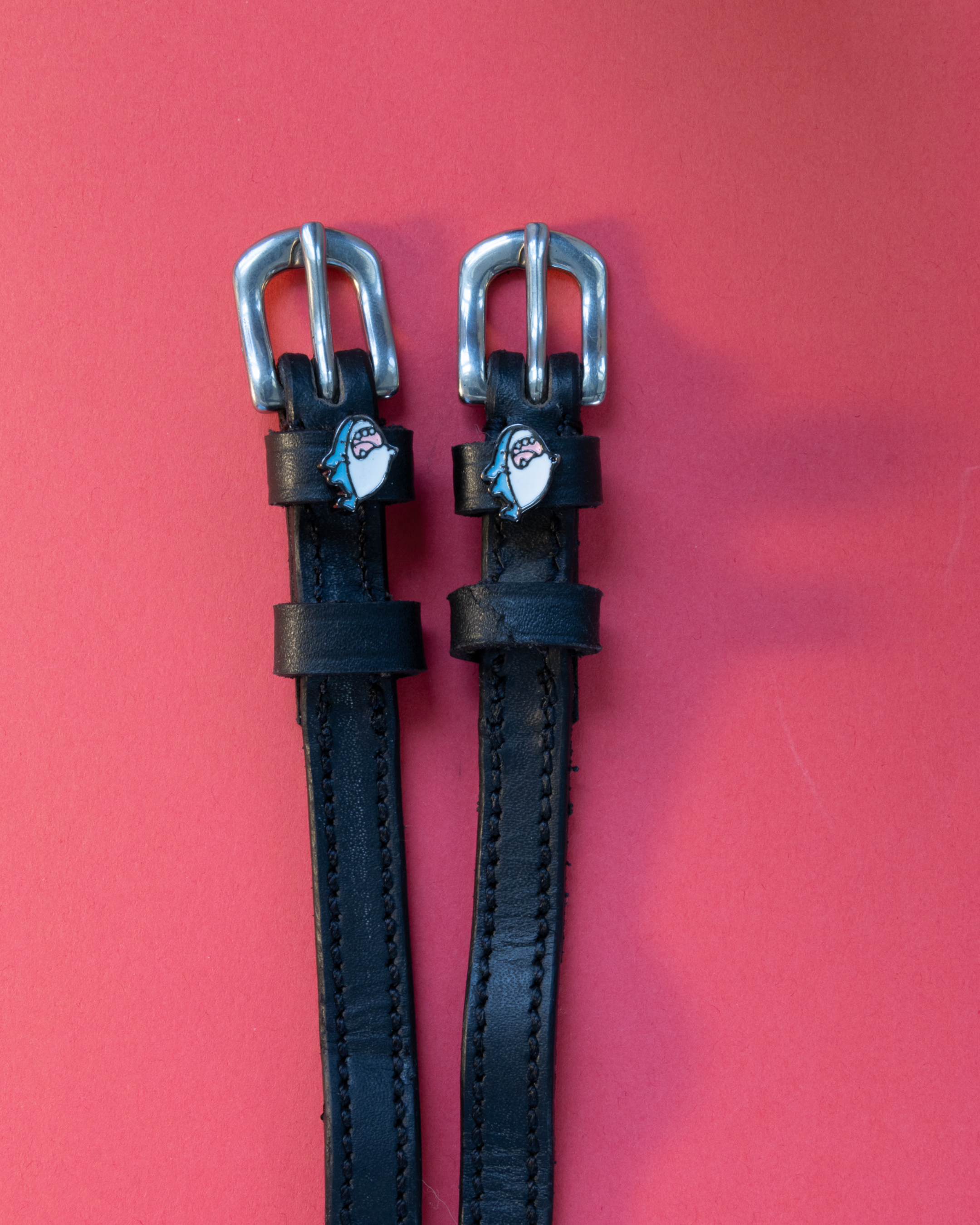 Wild Shark leather spur straps with silver buckles laid flat on a red background