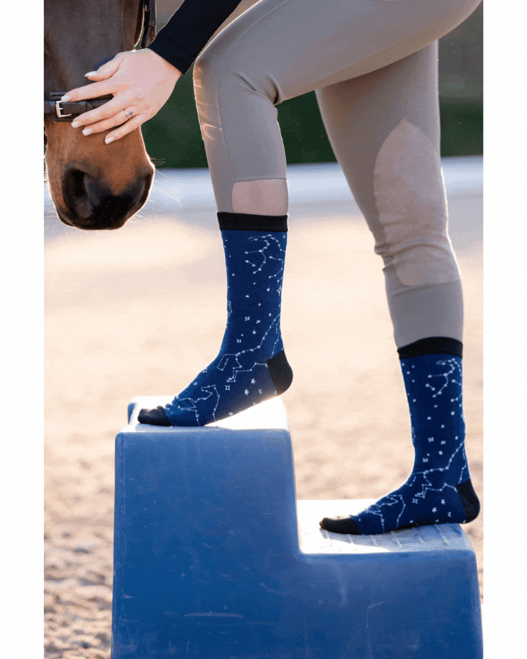 dreamers & schemers Crew Sock Astrology Crew Socks equestrian boot socks boot socks thin socks riding socks pattern socks tall socks funny socks knee high socks horse socks horse show socks
