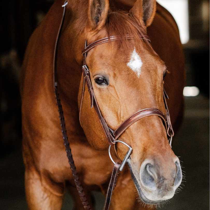 The TackHack For the Horse Classic Hunter Bridle with Laced Reins equestrian boot socks boot socks thin socks riding socks pattern socks tall socks funny socks knee high socks horse socks horse show socks