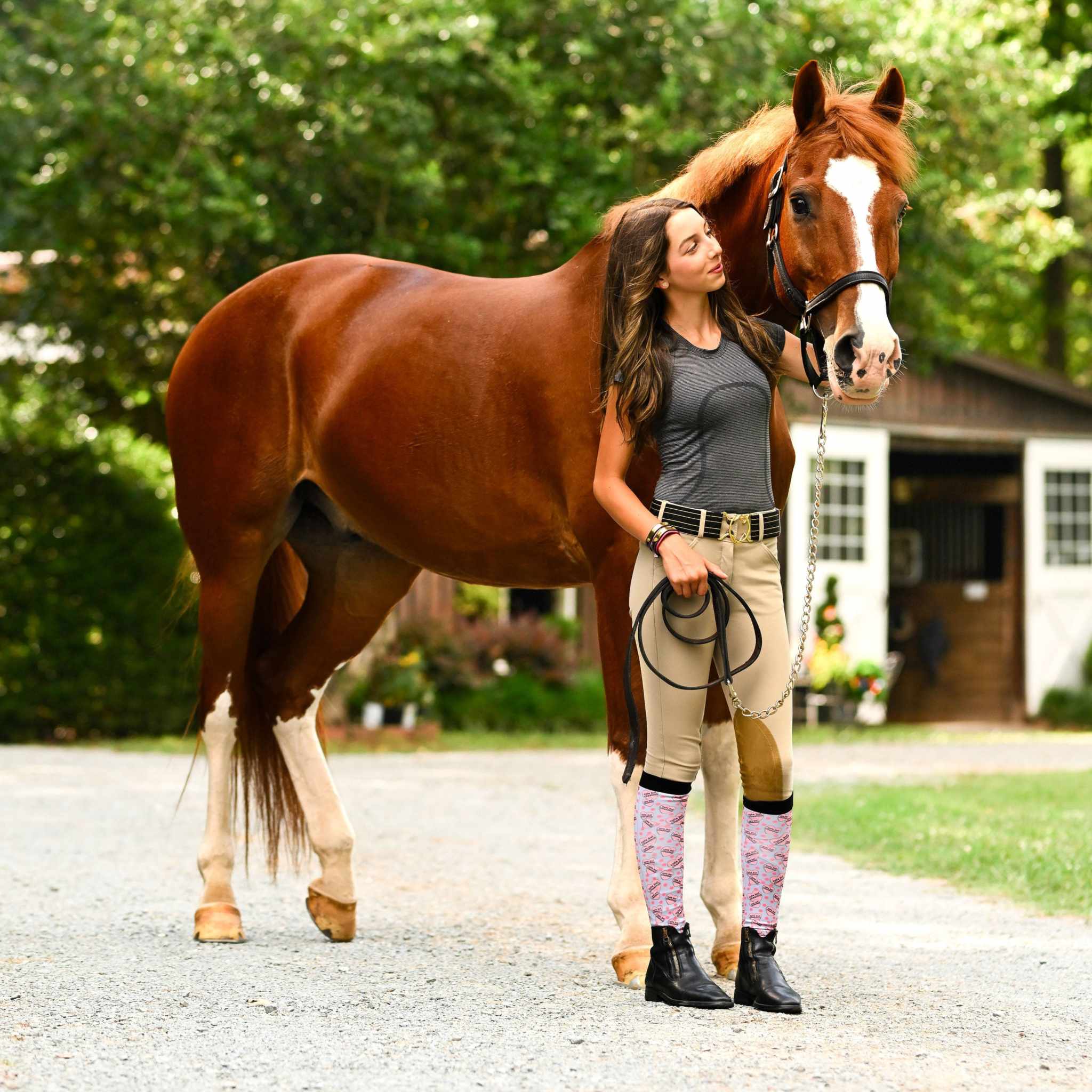 dreamers & schemers Pair & A Spare Cute but Chestnut Pair & A Spare Socks equestrian boot socks boot socks thin socks riding socks pattern socks tall socks funny socks knee high socks horse socks horse show socks