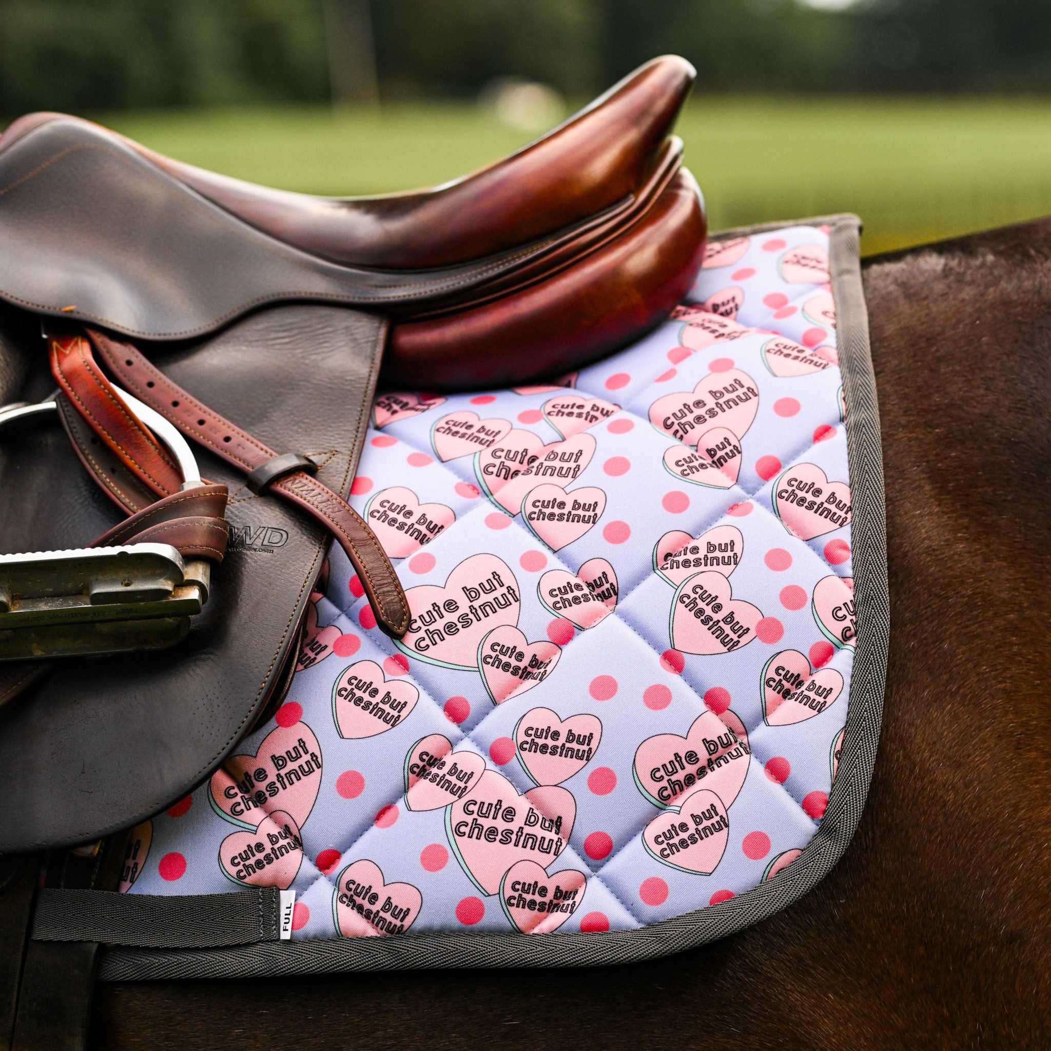 Dreamers & Schemers Cute but Chestnut Saddle Pad – patterned saddle pad, equestrian gift, horseback riding gear from Dreamers & Schemers Saddle Pads