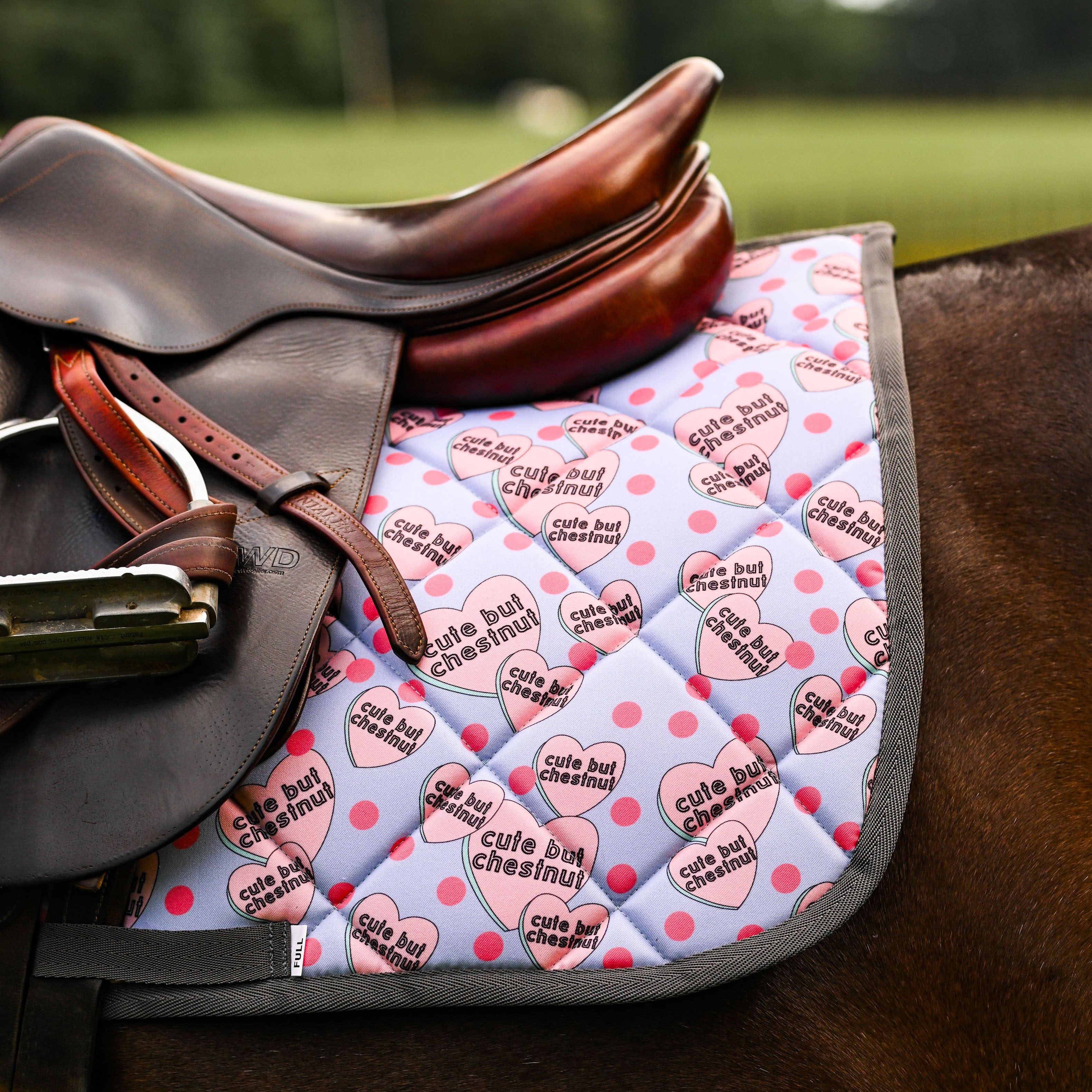 dreamers & schemers Saddle Pad Cute but Chestnut Saddle Pad equestrian boot socks boot socks thin socks riding socks pattern socks tall socks funny socks knee high socks horse socks horse show socks