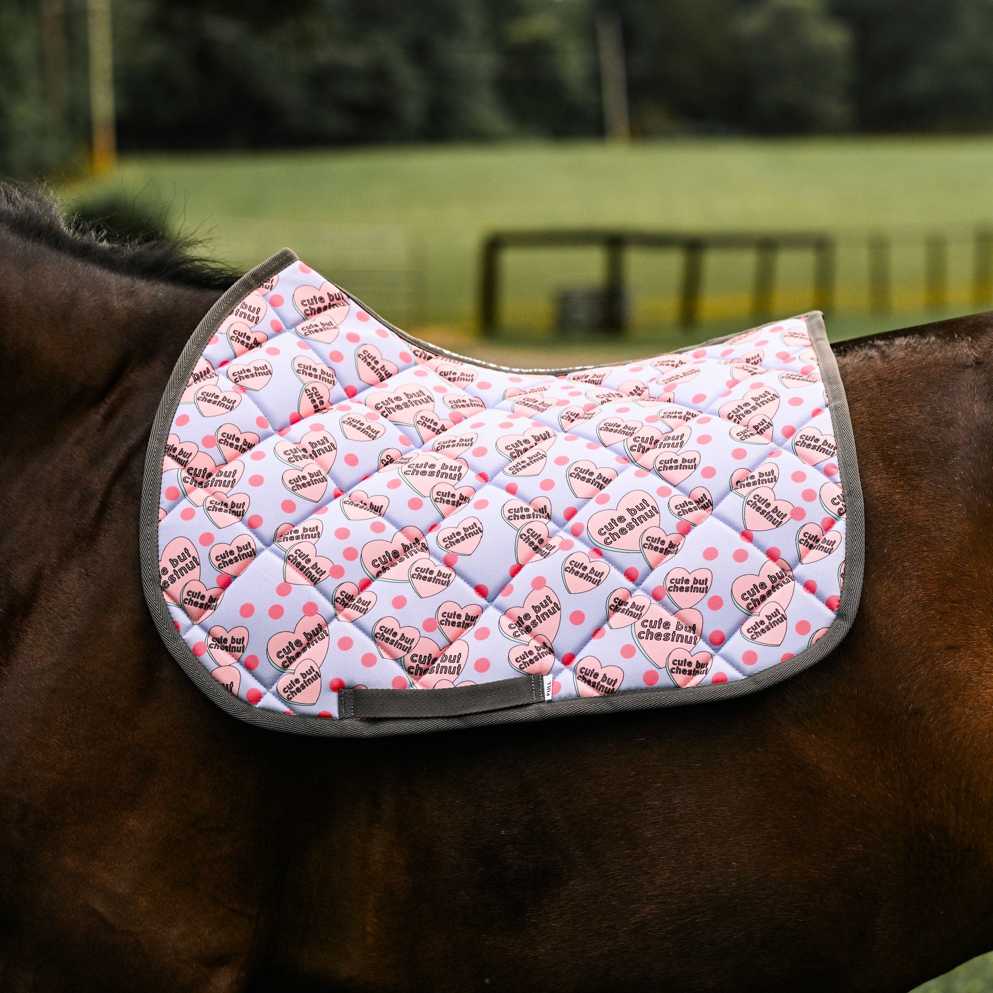 dreamers & schemers Saddle Pad Cute but Chestnut Saddle Pad equestrian boot socks boot socks thin socks riding socks pattern socks tall socks funny socks knee high socks horse socks horse show socks