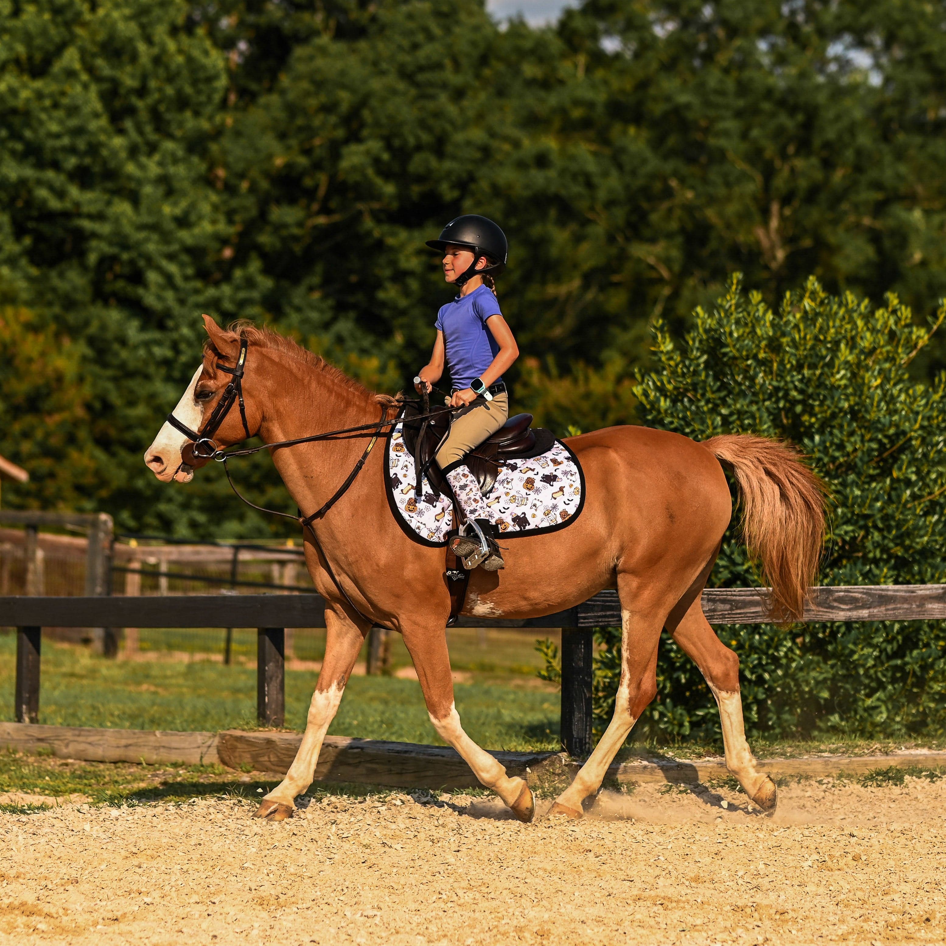 dreamers & schemers Saddle Pad Ghosts & Growls Saddle Pad equestrian boot socks boot socks thin socks riding socks pattern socks tall socks funny socks knee high socks horse socks horse show socks
