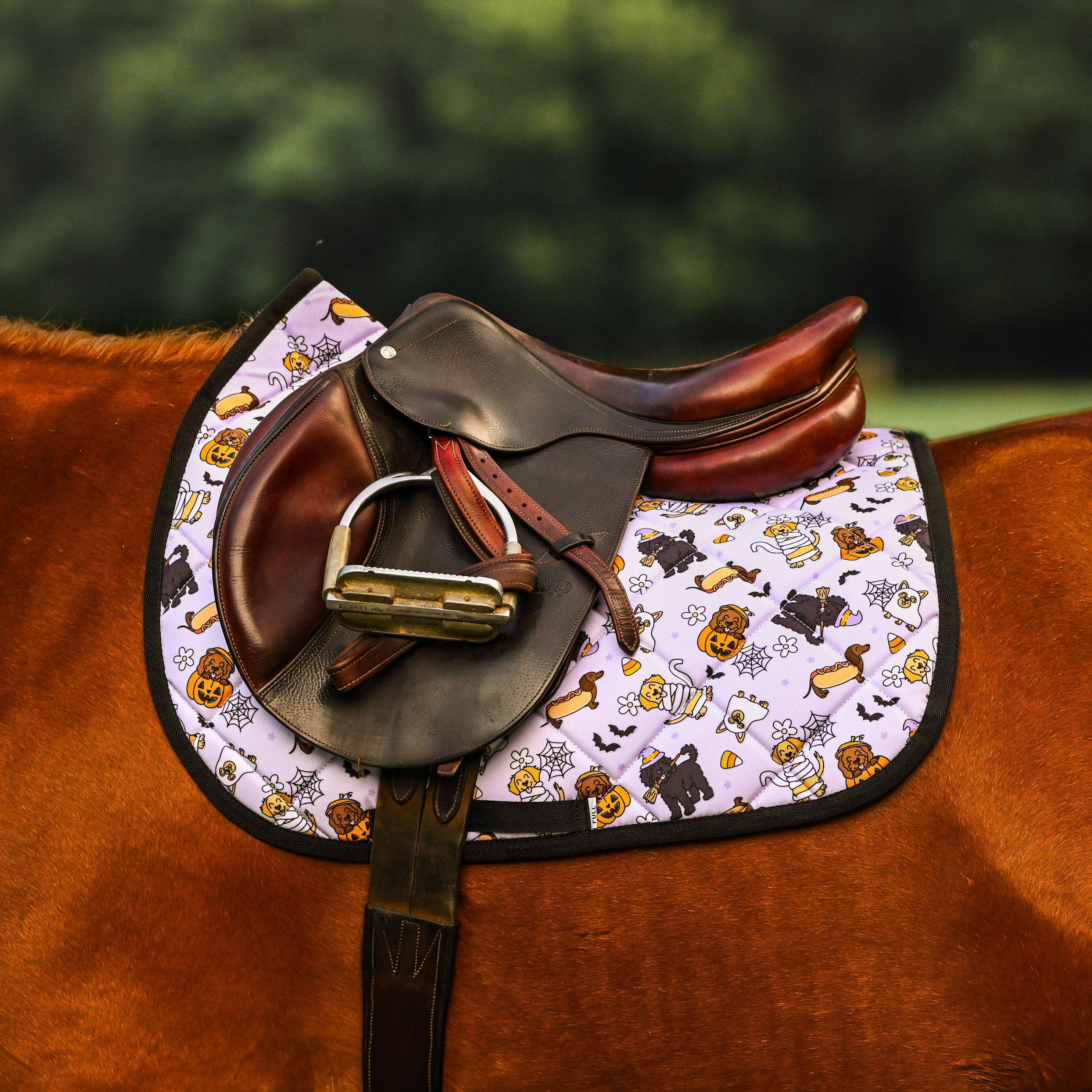 dreamers & schemers Saddle Pad Ghosts & Growls Saddle Pad equestrian boot socks boot socks thin socks riding socks pattern socks tall socks funny socks knee high socks horse socks horse show socks