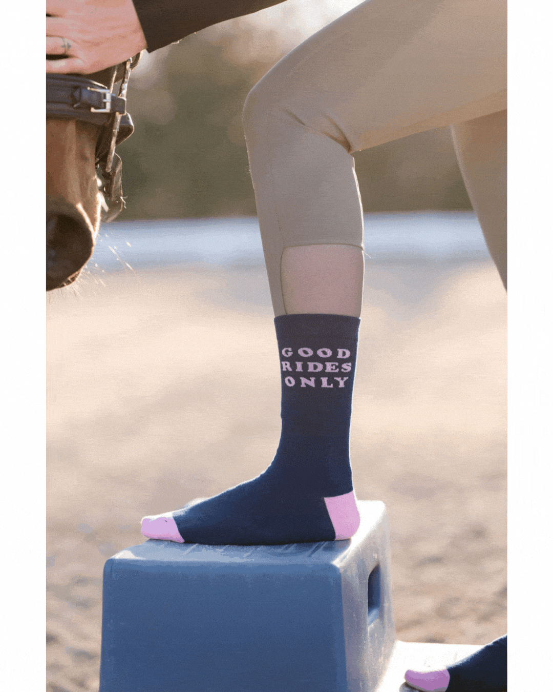 dreamers & schemers Crew Sock Good Rides Only Crew Socks equestrian boot socks boot socks thin socks riding socks pattern socks tall socks funny socks knee high socks horse socks horse show socks