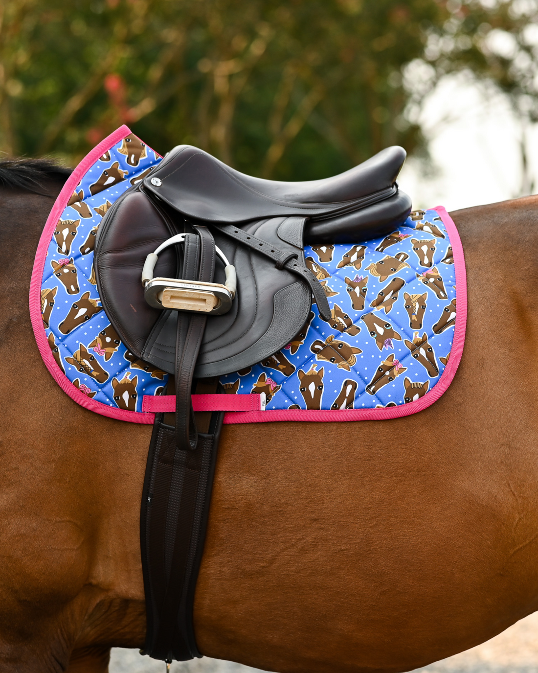 Hairy Styles pad in blue and hot pink under a black close-contact saddle on a bay horse in the sun