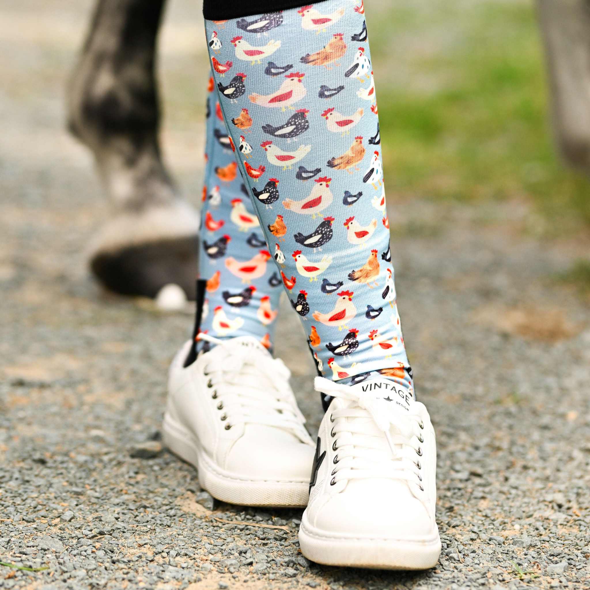 dreamers & schemers Pair & A Spare Hen House Pair & A Spare Socks equestrian boot socks boot socks thin socks riding socks pattern socks tall socks funny socks knee high socks horse socks horse show socks