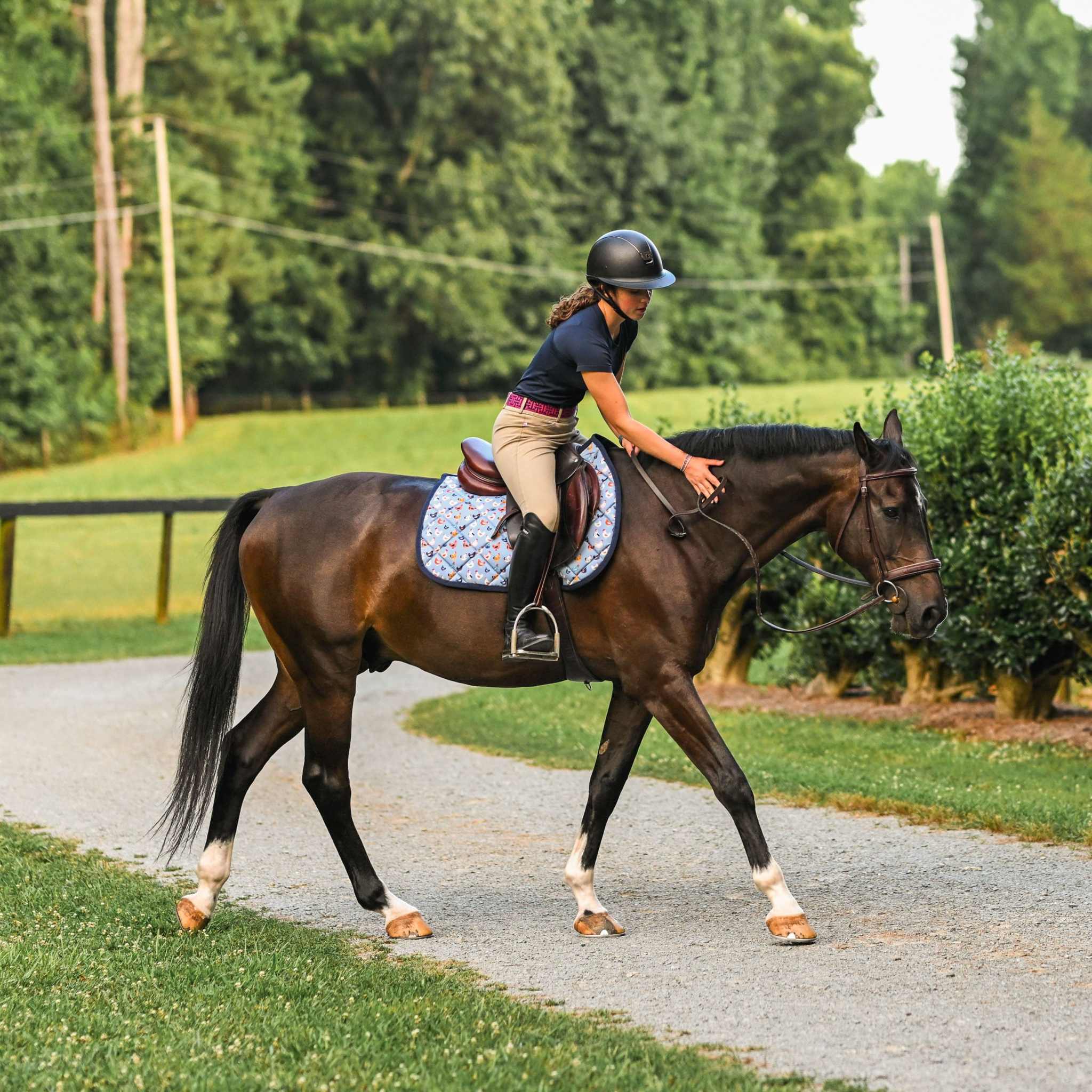 Dreamers & Schemers Hen House Saddle Pad – patterned saddle pad, equestrian gift, horseback riding gear from Dreamers & Schemers Saddle Pads