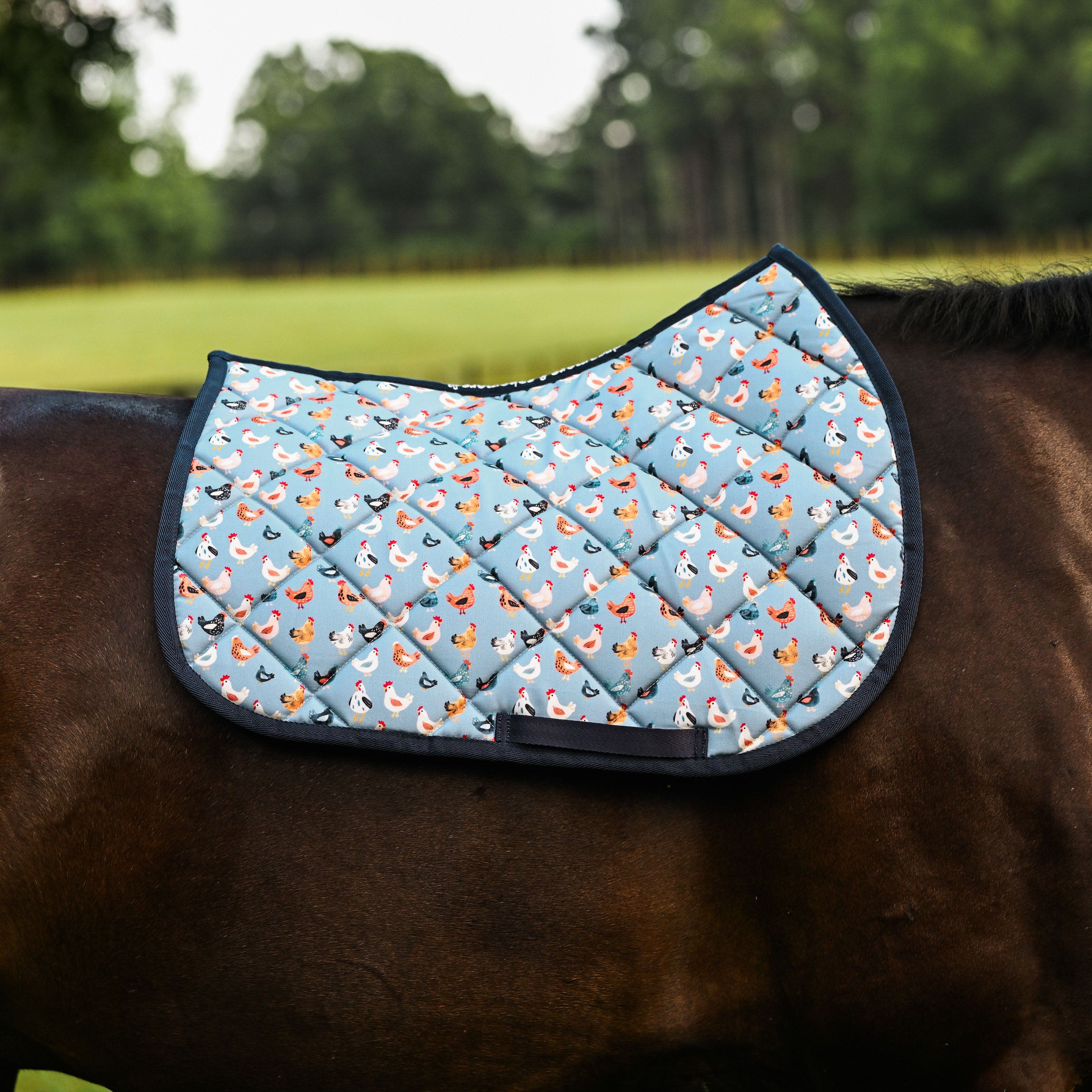 dreamers & schemers Saddle Pad Hen House Saddle Pad equestrian boot socks boot socks thin socks riding socks pattern socks tall socks funny socks knee high socks horse socks horse show socks