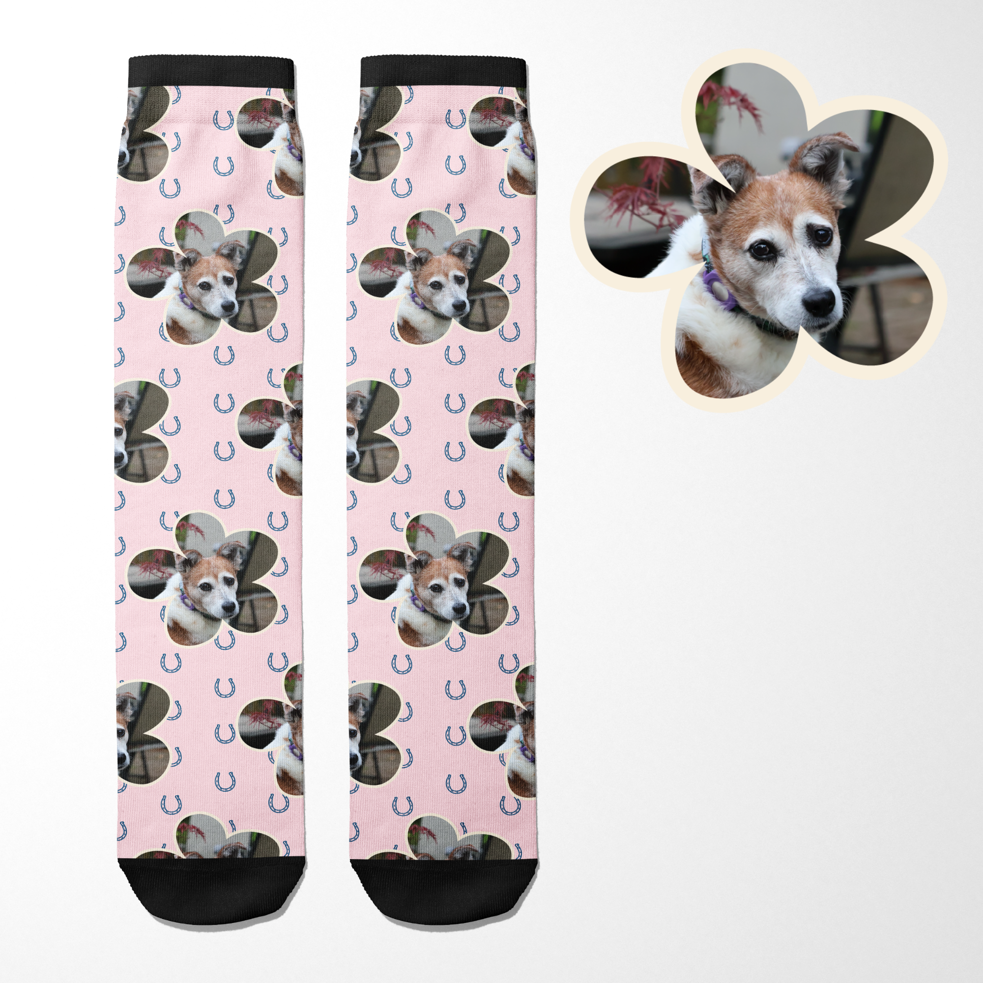 Custom flower socks with blue horseshoes and personalized dog photo design