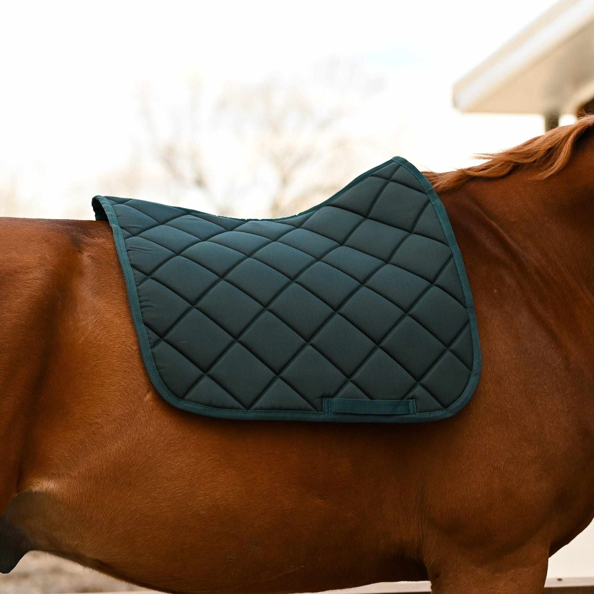 Dreamers & Schemers Hunter Green Saddle Pad – patterned saddle pad, equestrian gift, horseback riding gear from Dreamers & Schemers Saddle Pads
