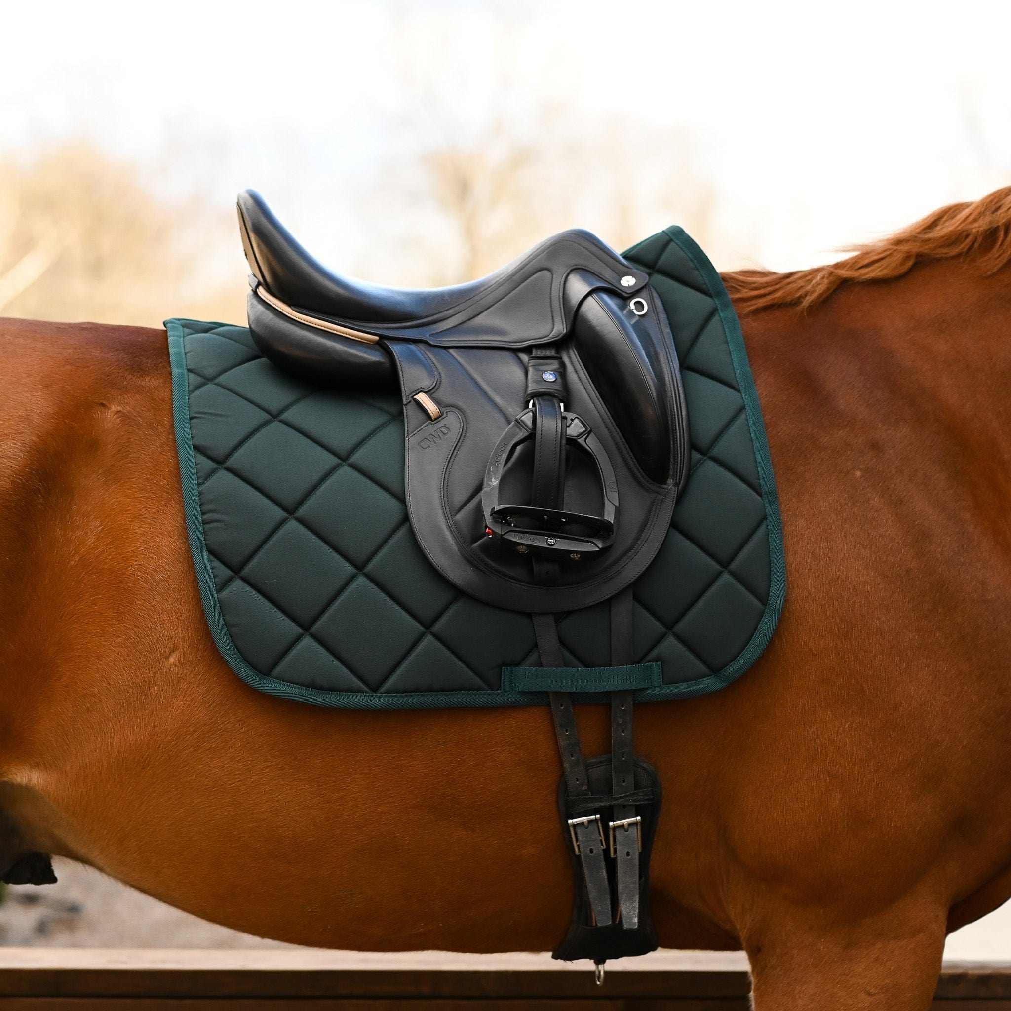 Dreamers & Schemers Hunter Green Saddle Pad – patterned saddle pad, equestrian gift, horseback riding gear from Dreamers & Schemers Saddle Pads