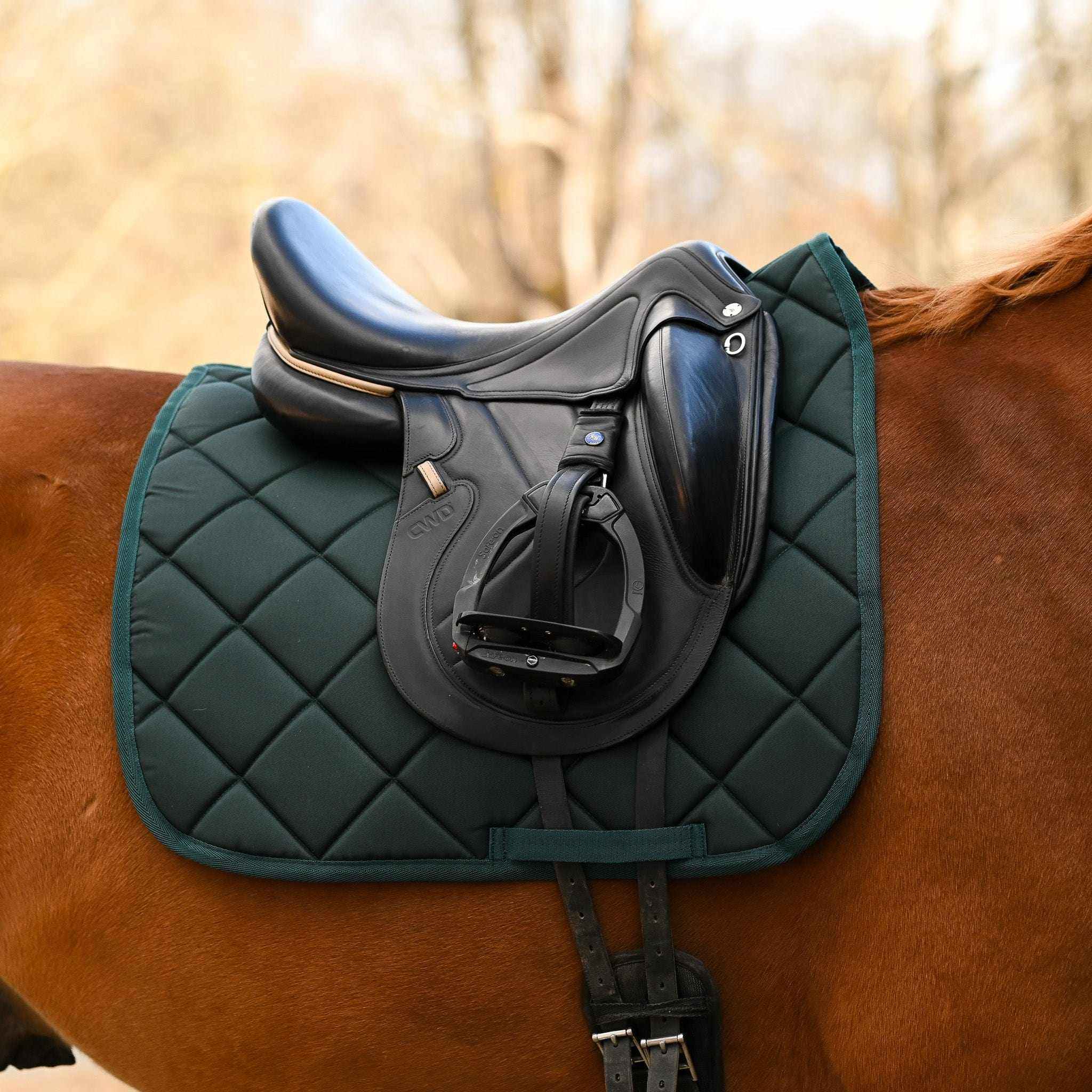 Hunter green quilted saddle pad with black equestrian saddle on brown horse, Manifesting Money Bundle