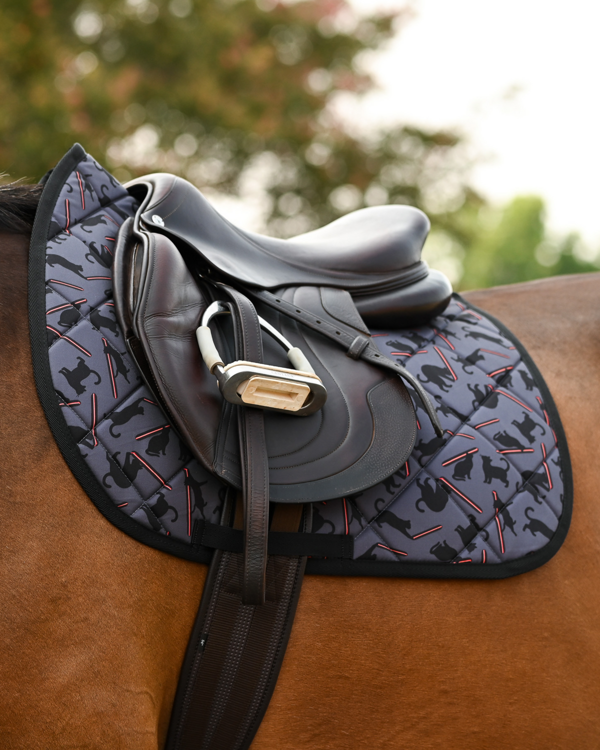 Laser Cats pad in grey with black binding, tacked up under a brown jump saddle on a bay horse