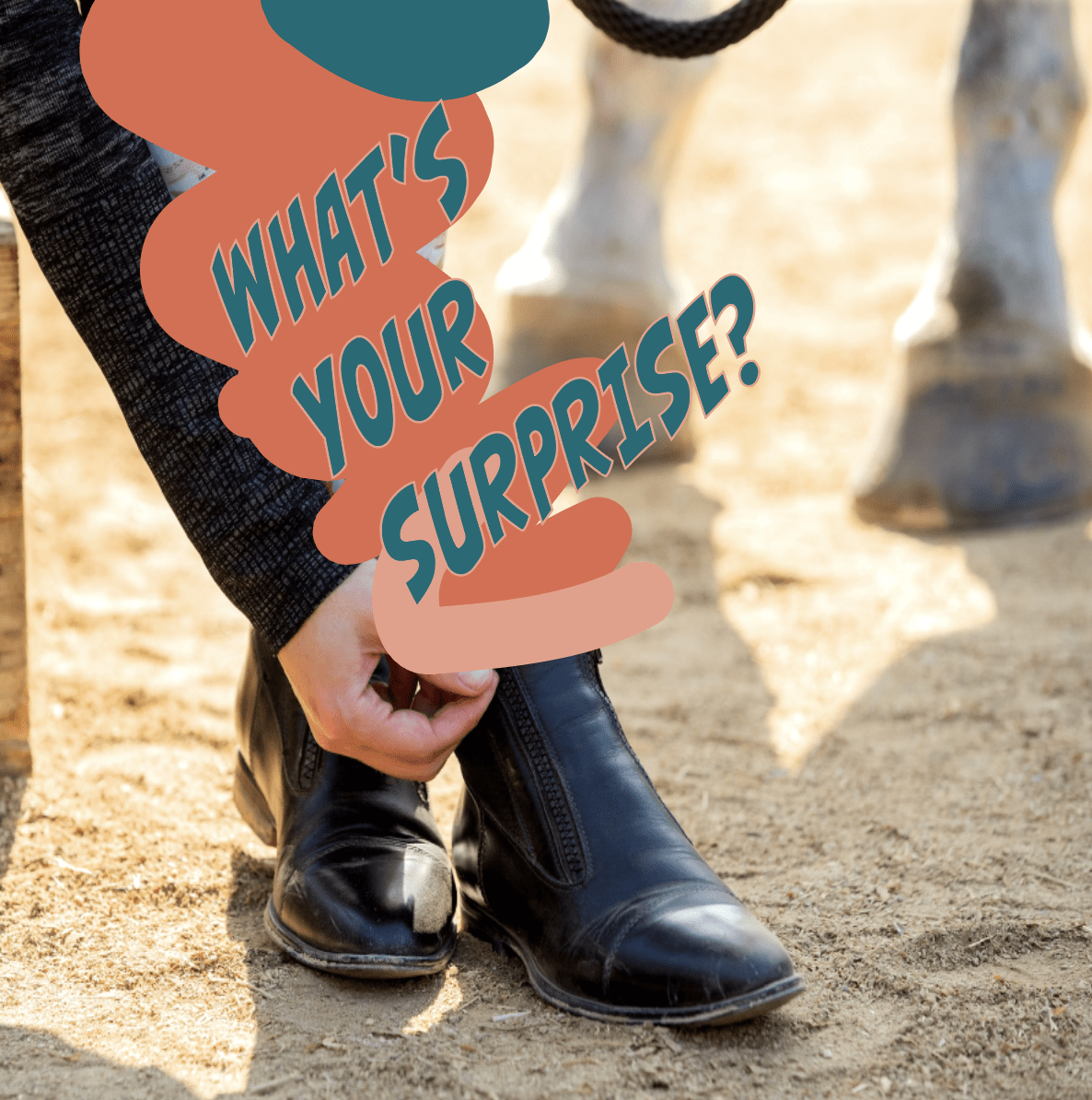 dreamers & schemers Mystery Socks Mystery Socks equestrian boot socks boot socks thin socks riding socks pattern socks tall socks funny socks knee high socks horse socks horse show socks