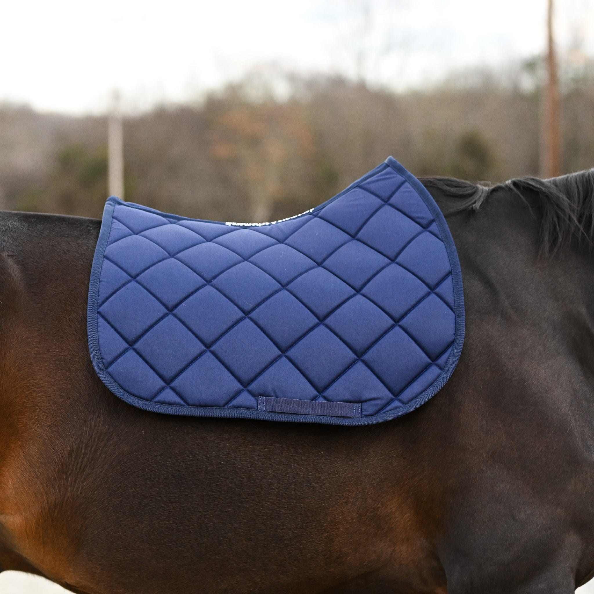 Navy blue quilted saddle pad from Blue Bundle on horse back