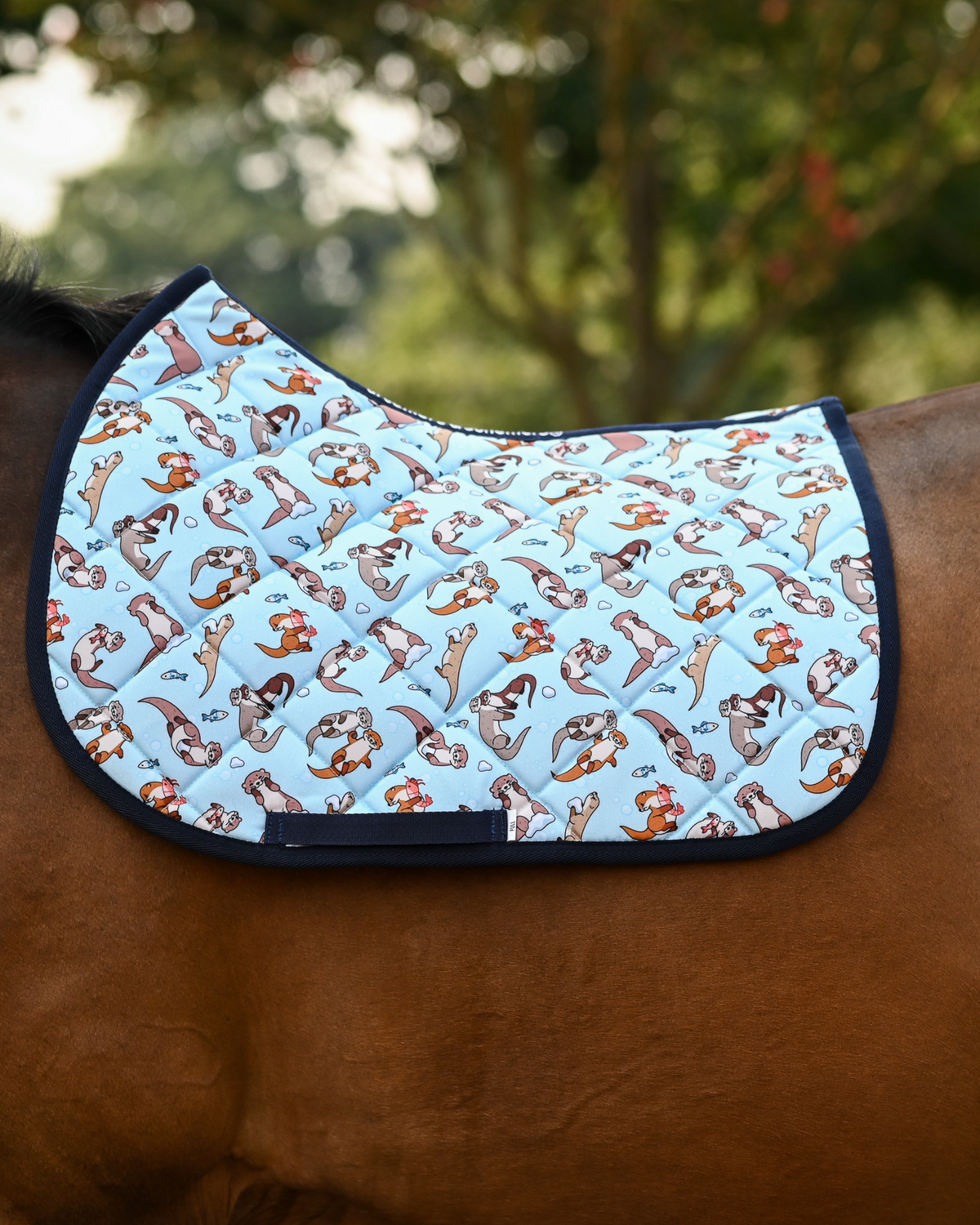 Otter-ly Adorable saddle pad in pale aqua with brown otters and fish, worn without a saddle outdoors