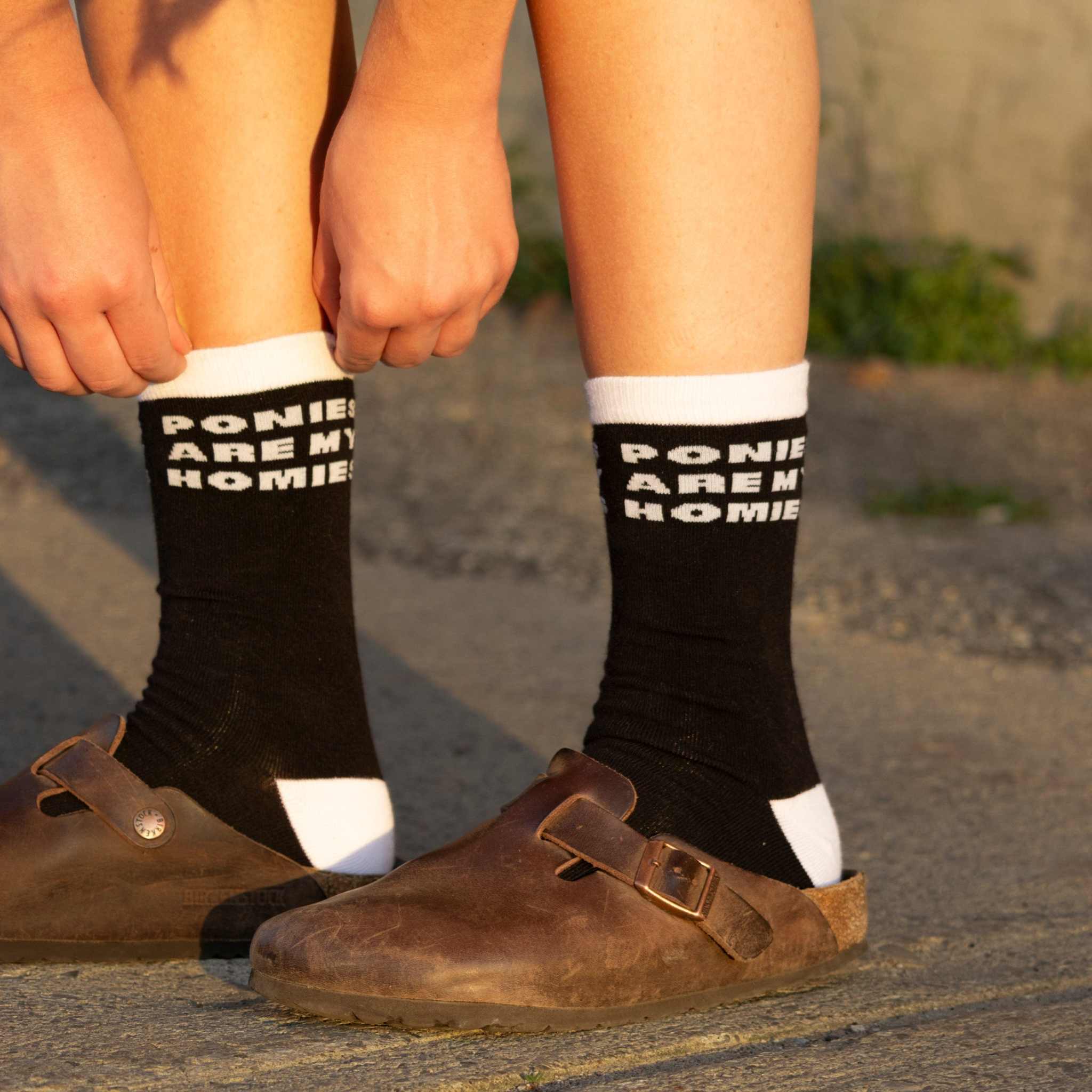 dreamers & schemers Crew Socks Ponies Are My Homies Crew Socks equestrian boot socks boot socks thin socks riding socks pattern socks tall socks funny socks knee high socks horse socks horse show socks