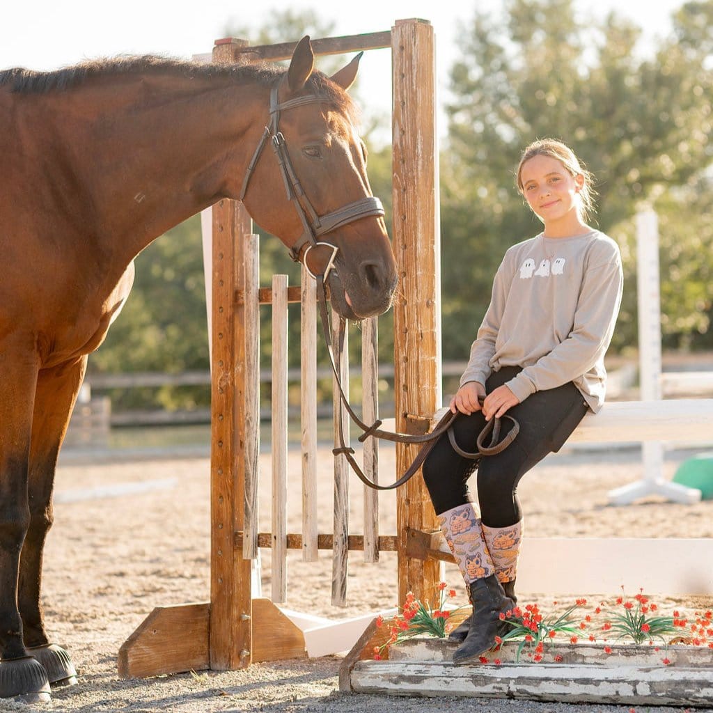 D&S LIMITED EDITION Limited Edition Pumpkin Pony Limited Socks equestrian boot socks boot socks thin socks riding socks pattern socks tall socks funny socks knee high socks horse socks horse show socks