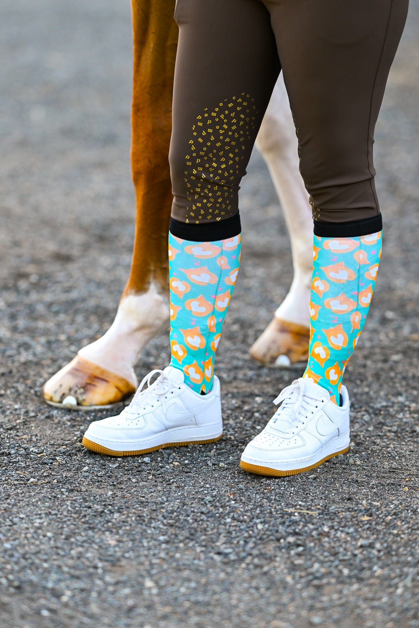 dreamers & schemers Limited Edition Retro Corgi Butt Socks equestrian boot socks boot socks thin socks riding socks pattern socks tall socks funny socks knee high socks horse socks horse show socks