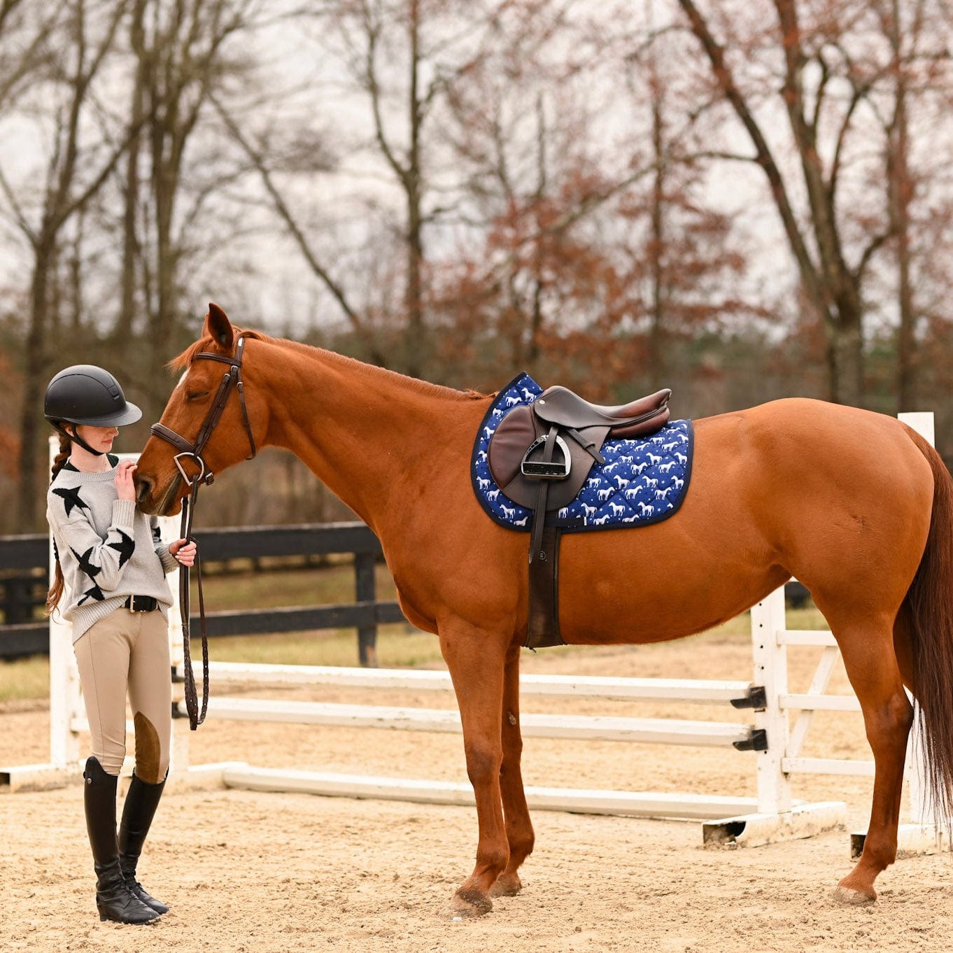 dreamers & schemers Saddle Pad Stars Align Saddle Pad equestrian boot socks boot socks thin socks riding socks pattern socks tall socks funny socks knee high socks horse socks horse show socks