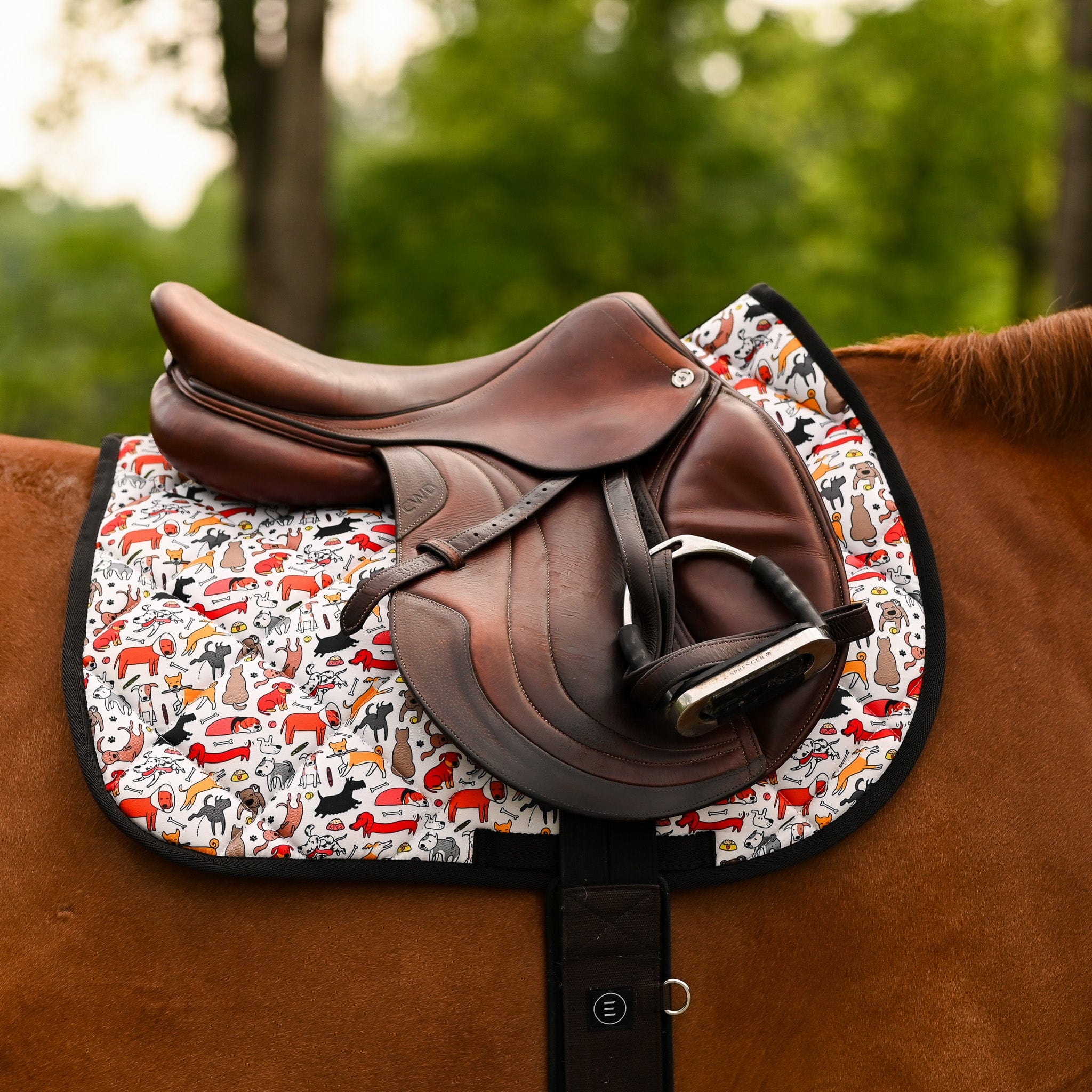 dreamers & schemers Saddle Pad Stay Pawsitive Saddle Pad equestrian boot socks boot socks thin socks riding socks pattern socks tall socks funny socks knee high socks horse socks horse show socks