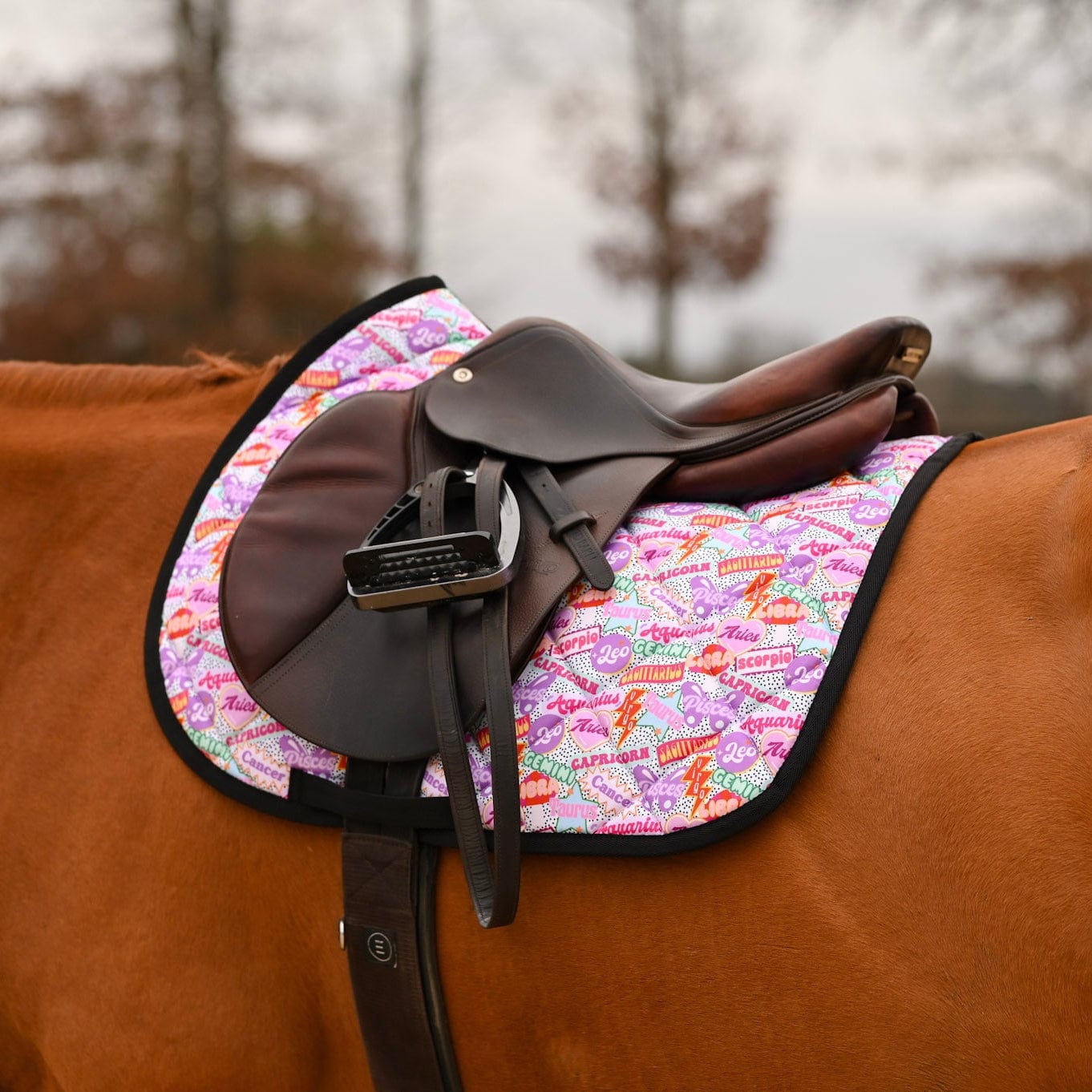 dreamers & schemers Saddle Pad Sun Signs Saddle Pad equestrian boot socks boot socks thin socks riding socks pattern socks tall socks funny socks knee high socks horse socks horse show socks