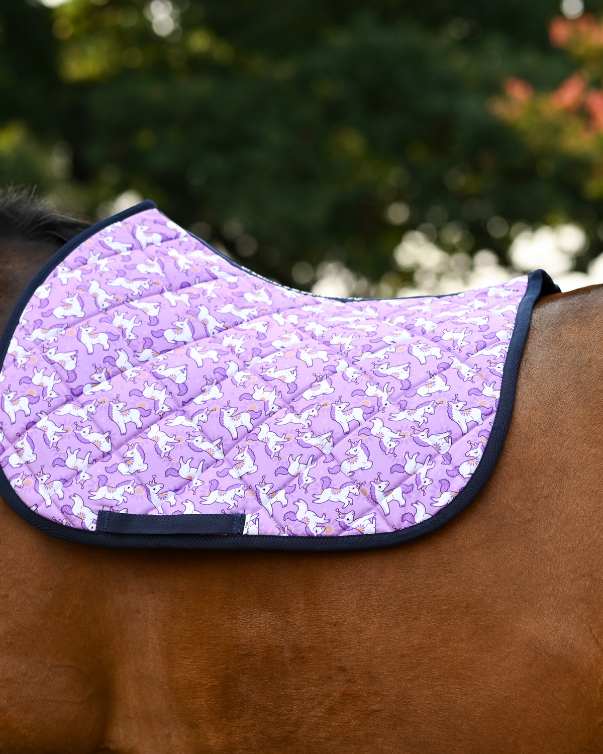 Lilac Sunshine & Unicorns pad worn saddle-free on a bay horse, navy binding against blurred trees