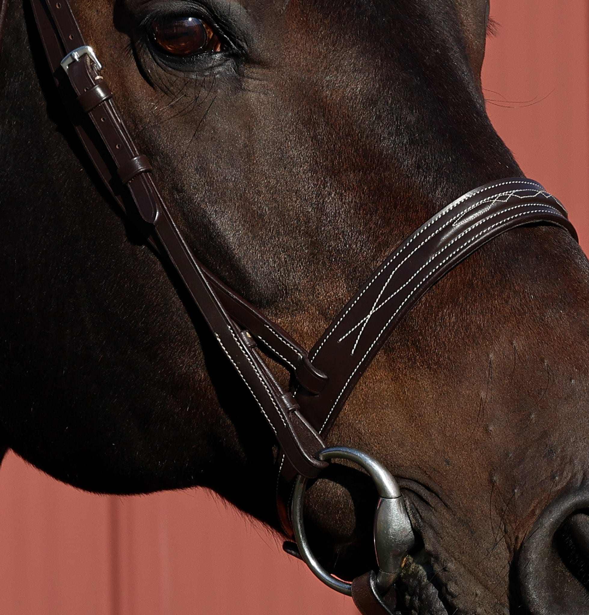 The TackHack For the Horse The Perfect Bridle with Plain Laced Reins equestrian boot socks boot socks thin socks riding socks pattern socks tall socks funny socks knee high socks horse socks horse show socks