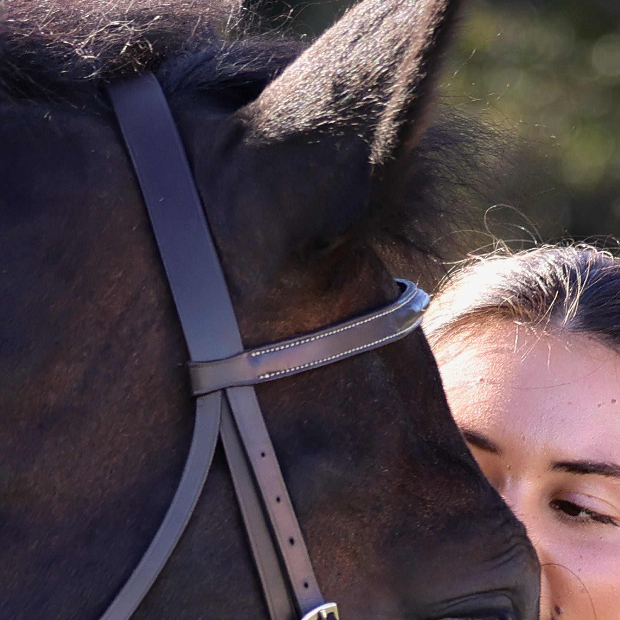 The TackHack For the Horse The Perfect Bridle with Plain Laced Reins equestrian boot socks boot socks thin socks riding socks pattern socks tall socks funny socks knee high socks horse socks horse show socks