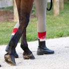 dreamers & schemers Crew Socks Vet Check Crew Socks equestrian boot socks boot socks thin socks riding socks pattern socks tall socks funny socks knee high socks horse socks horse show socks