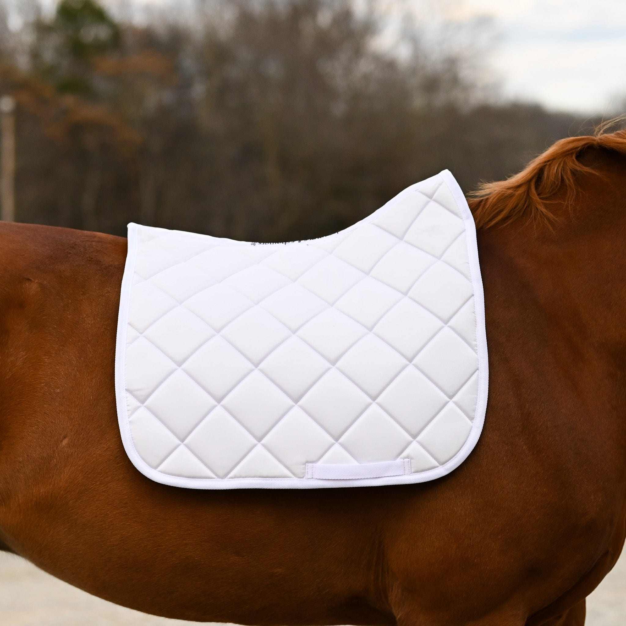 Dreamers & Schemers White Saddle Pad – patterned saddle pad, equestrian gift, horseback riding gear from Dreamers & Schemers Saddle Pads