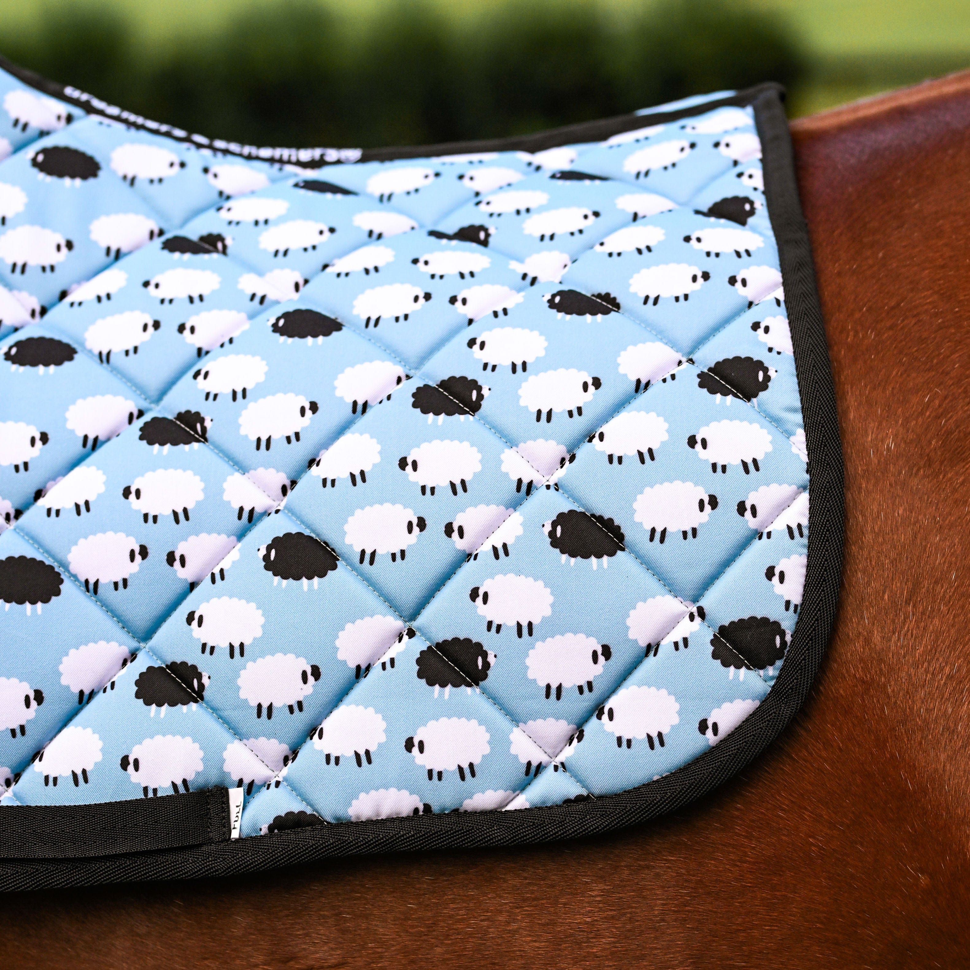 dreamers & schemers Saddle Pad Who's a Black Sheep Saddle Pad equestrian boot socks boot socks thin socks riding socks pattern socks tall socks funny socks knee high socks horse socks horse show socks