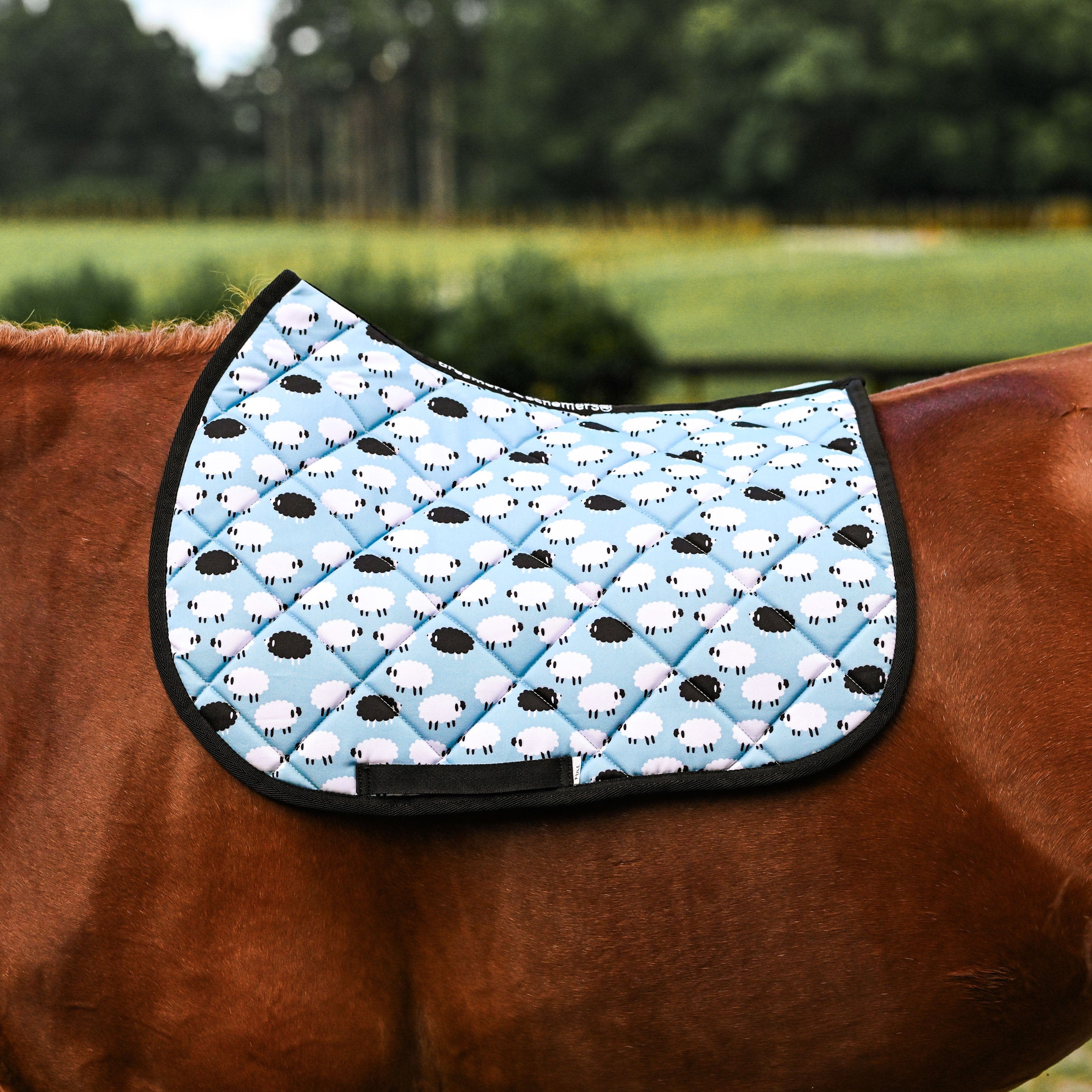 dreamers & schemers Saddle Pad Who's a Black Sheep Saddle Pad equestrian boot socks boot socks thin socks riding socks pattern socks tall socks funny socks knee high socks horse socks horse show socks